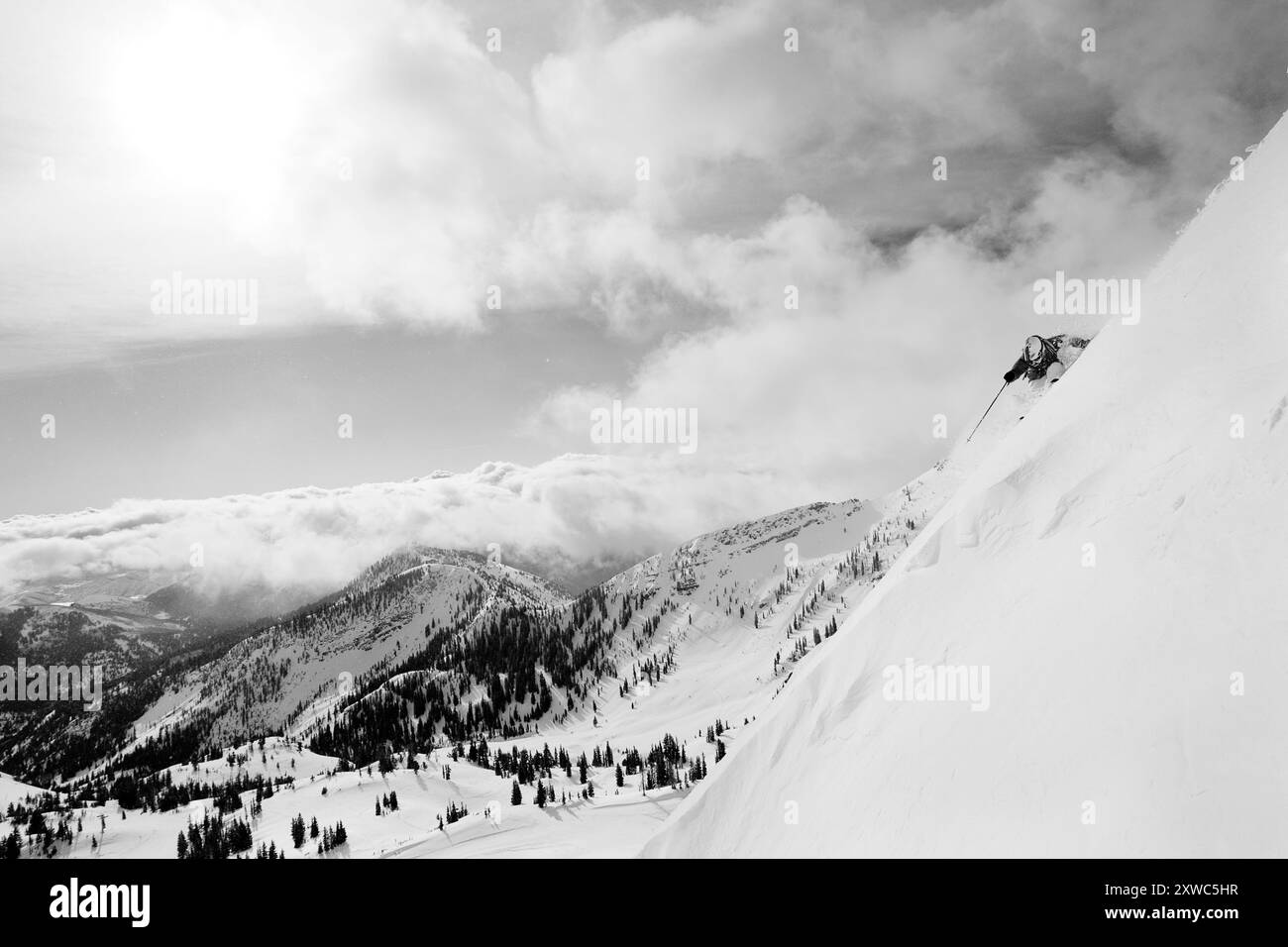 Uno sciatore maschile fa sci su una faccia ripida nella zona sciistica di Snowbird, Utah. Foto Stock