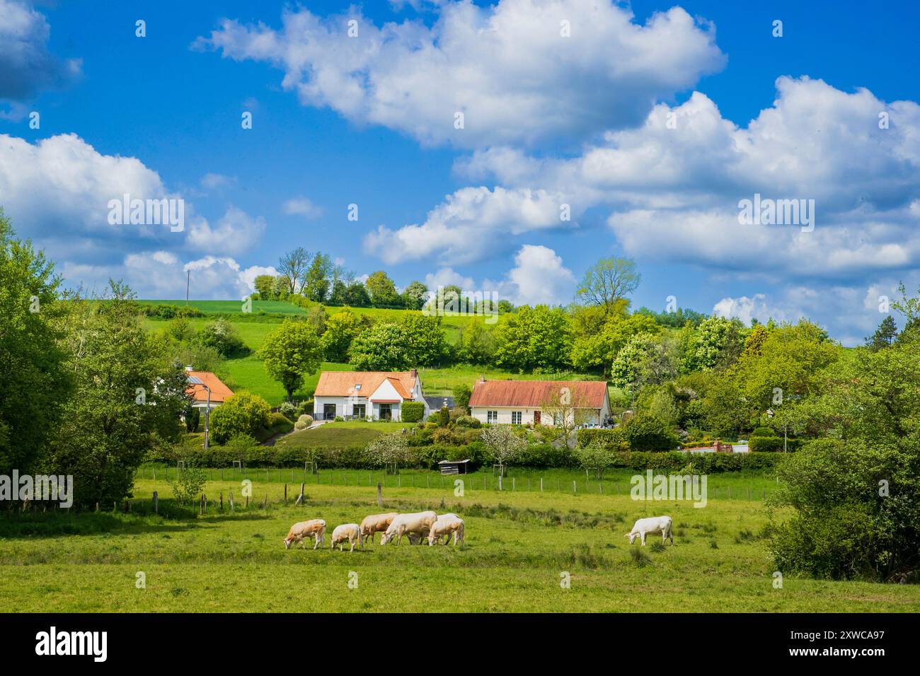 Enquin-sur-Baillons (Francia settentrionale): Zona denominata “Haut-Pays Cote d'Opale” Foto Stock
