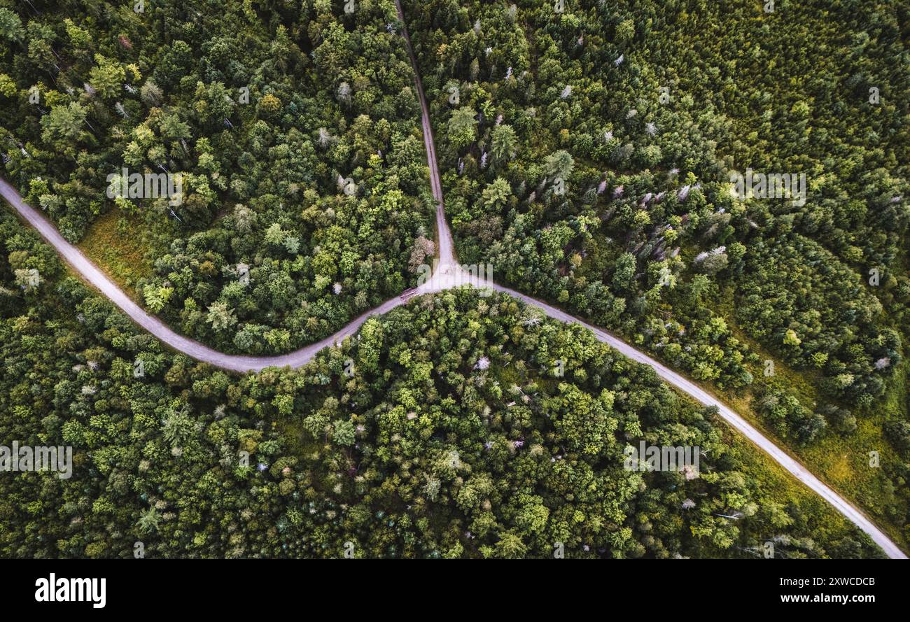 Veduta aerea di strade sterrate che si intersecano in profondità nei boschi, Maine Foto Stock