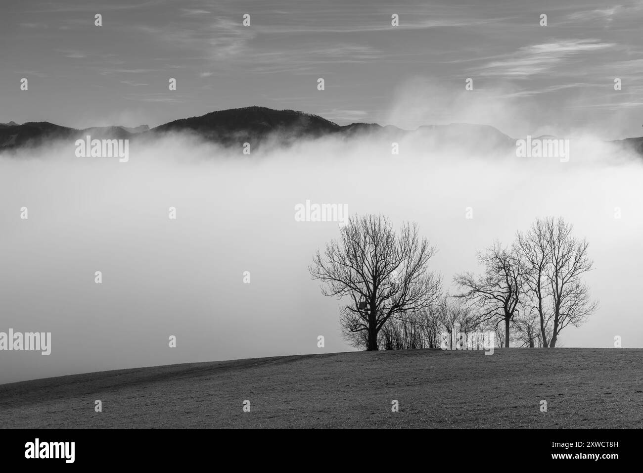 Nebbia nelle Alpi austriache Foto Stock