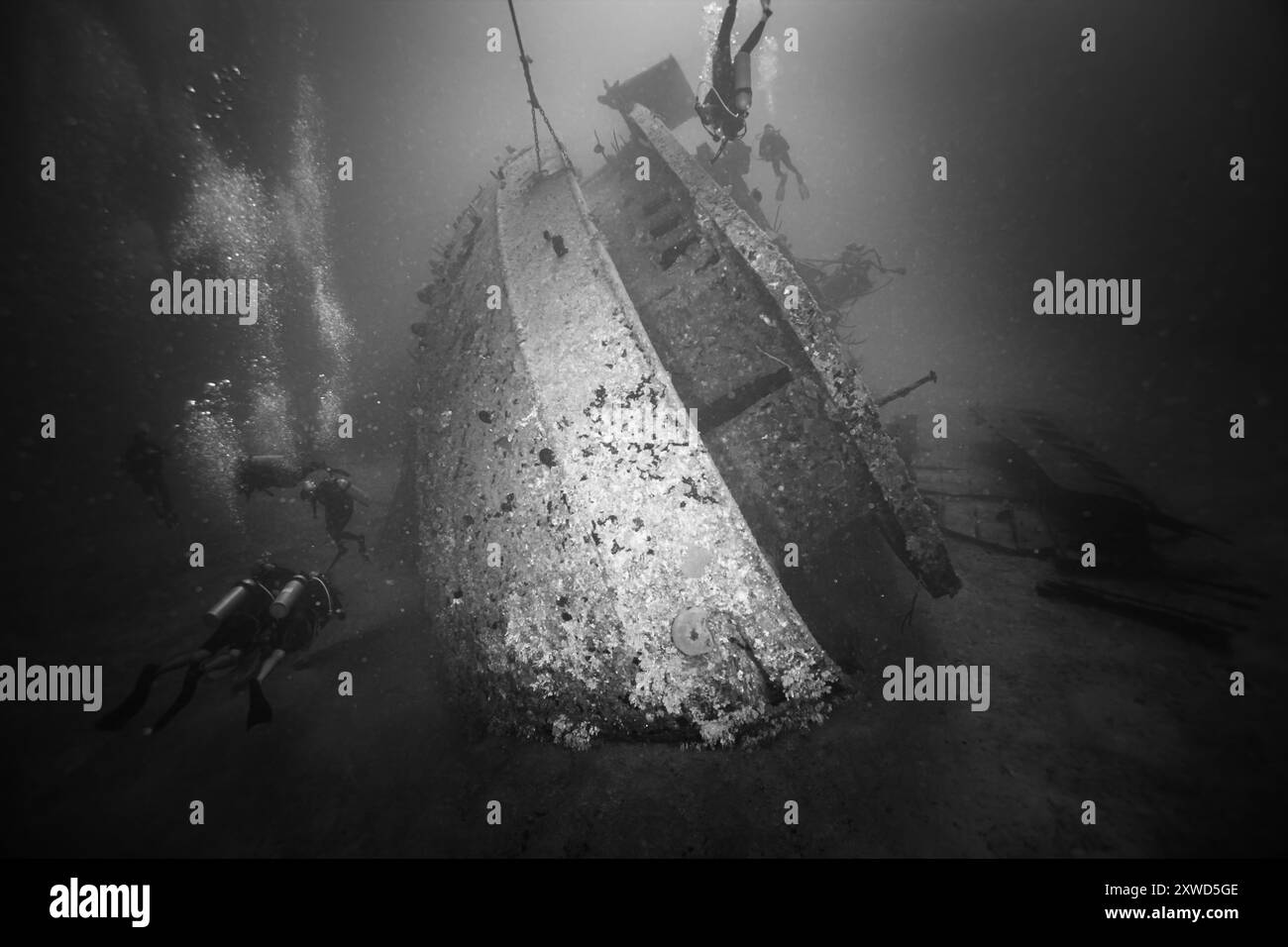 Honduras, Roatan, il naufragio di El Aguila Foto Stock