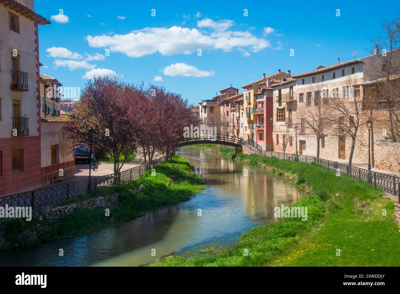 Banca di fiume Gallo. Molina de Aragon, provincia di Guadalajara, Castilla La Mancha, in Spagna. Foto Stock