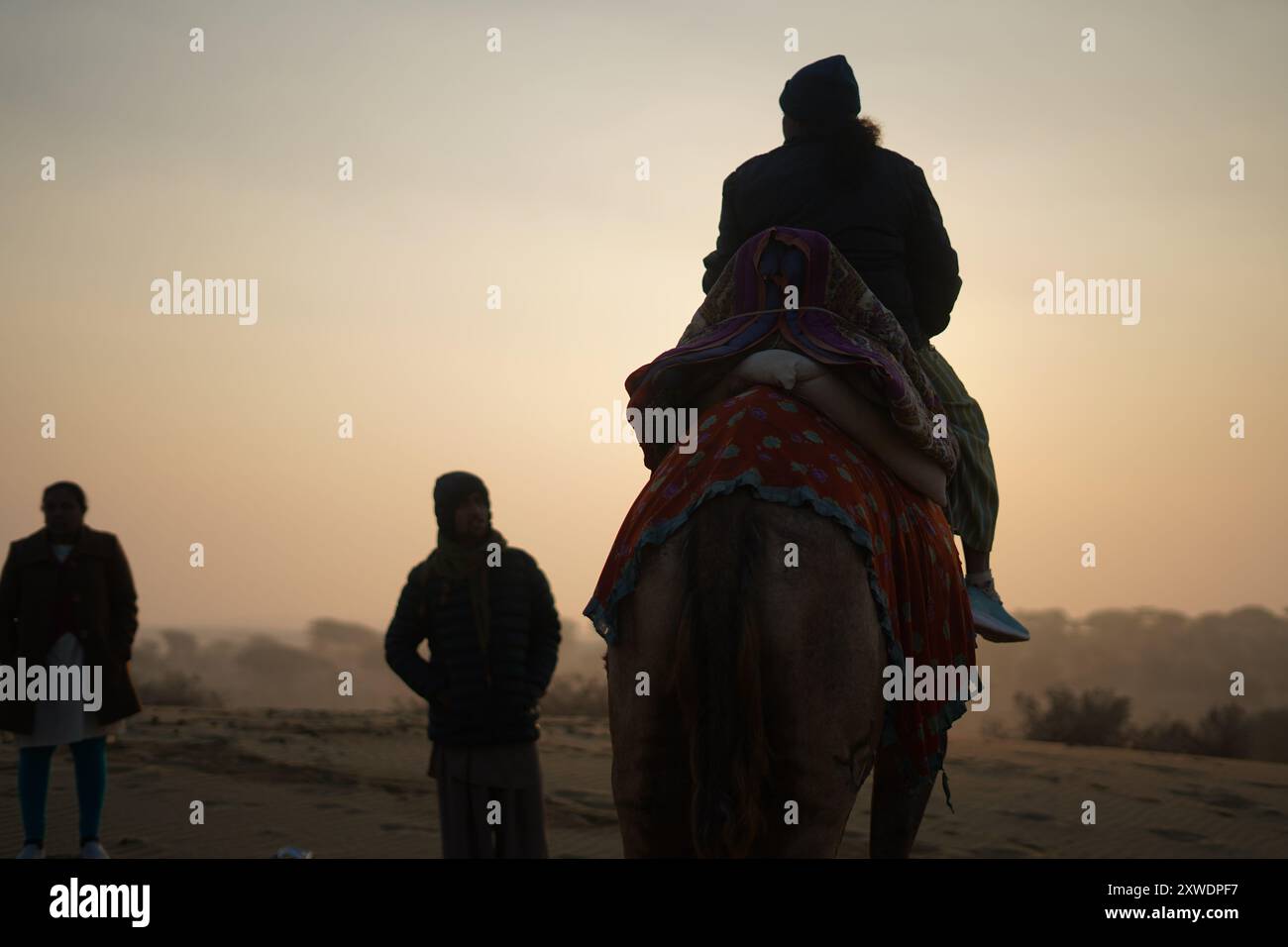 Un uomo che cavalca sul dorso di un cammello Foto Stock