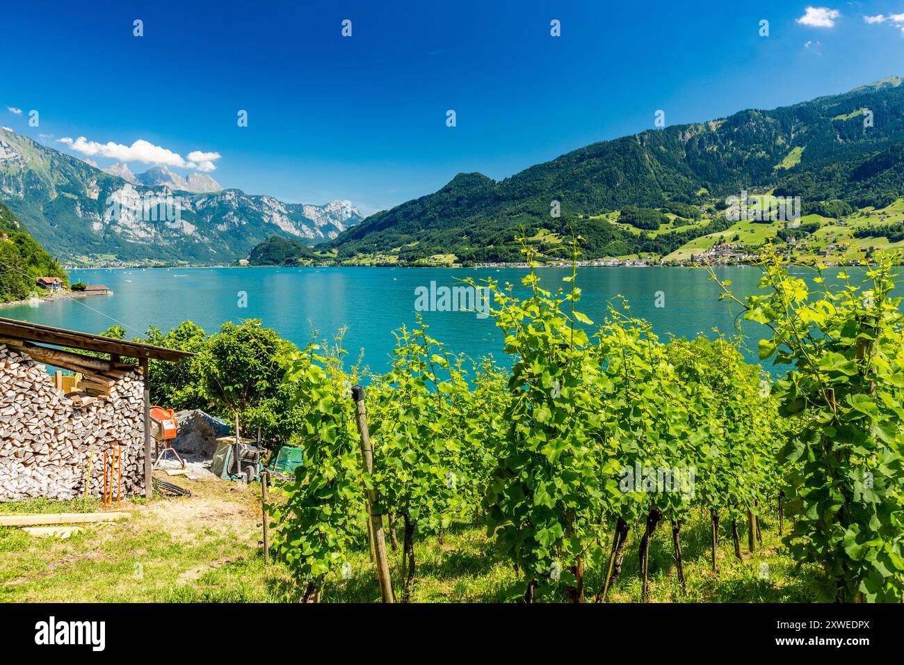 Vista panoramica intorno al borgo di Quinten, situato sulla sponda nord di Walensee, in Svizzera, accessibile con escursioni a piedi o in barca Foto Stock