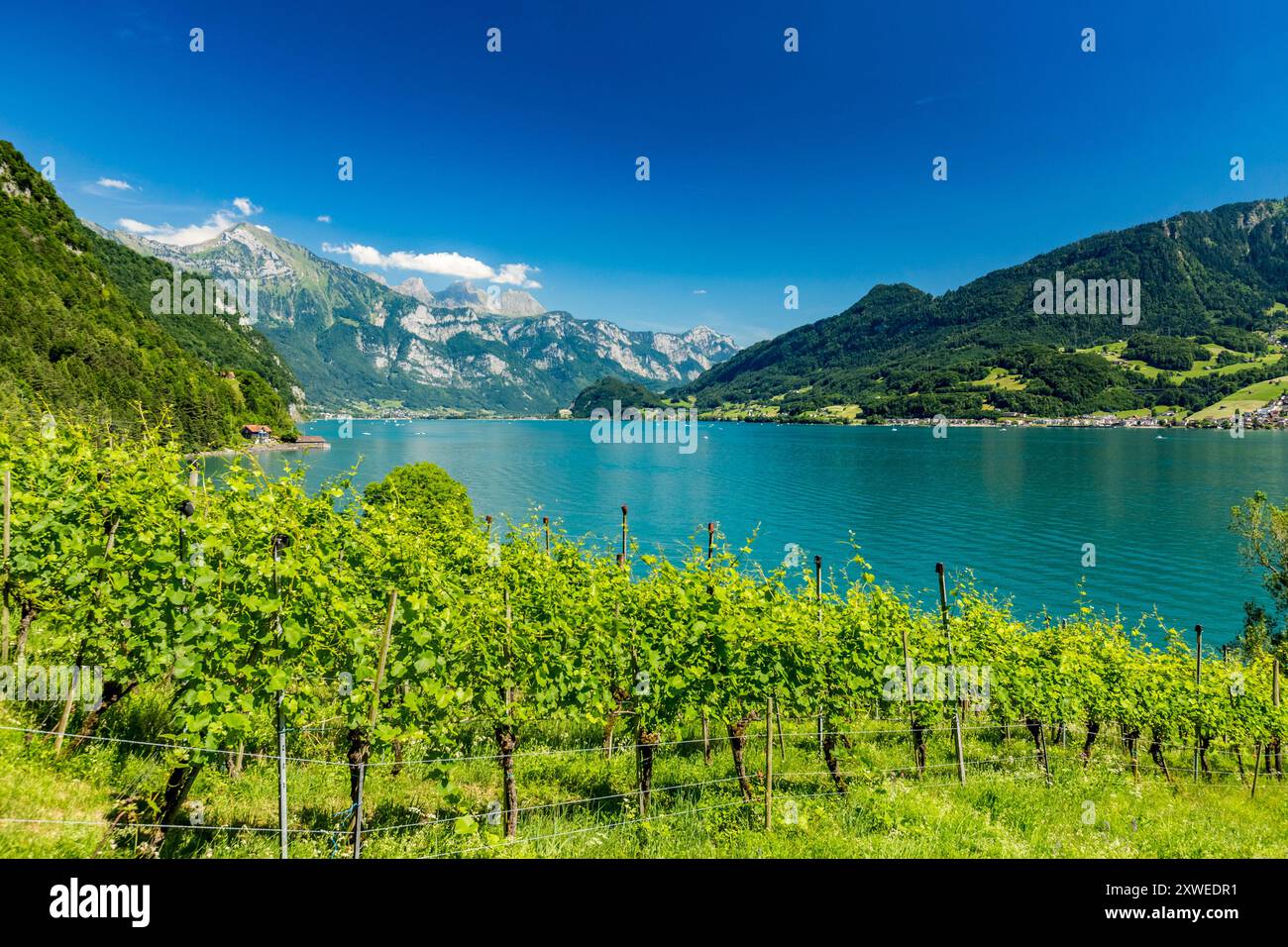 Vista panoramica intorno al borgo di Quinten, situato sulla sponda nord di Walensee, in Svizzera, accessibile con escursioni a piedi o in barca Foto Stock