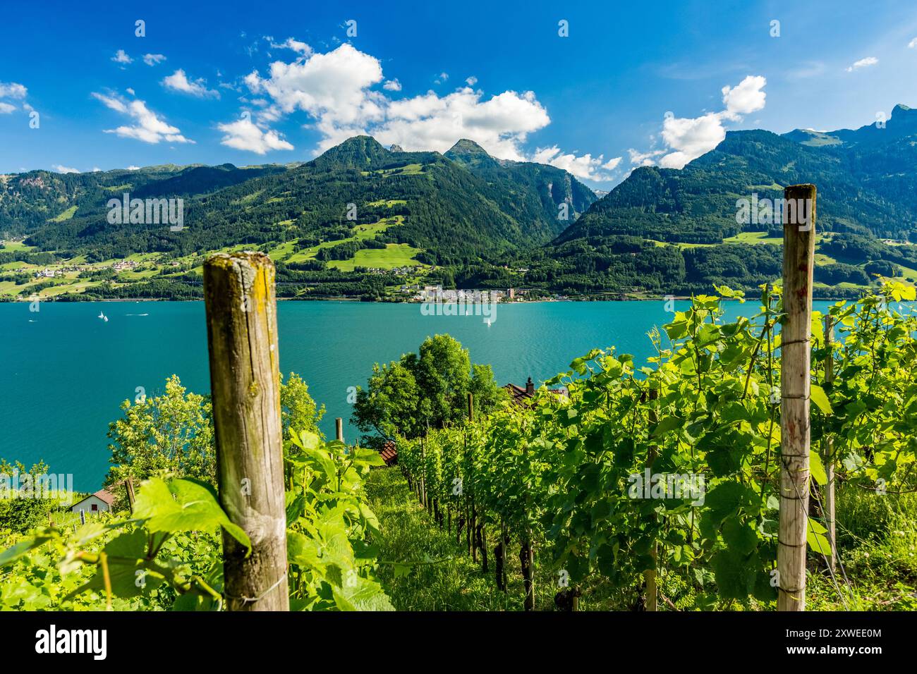 Vista panoramica intorno al borgo di Quinten, situato sulla sponda nord di Walensee, in Svizzera, accessibile con escursioni a piedi o in barca Foto Stock