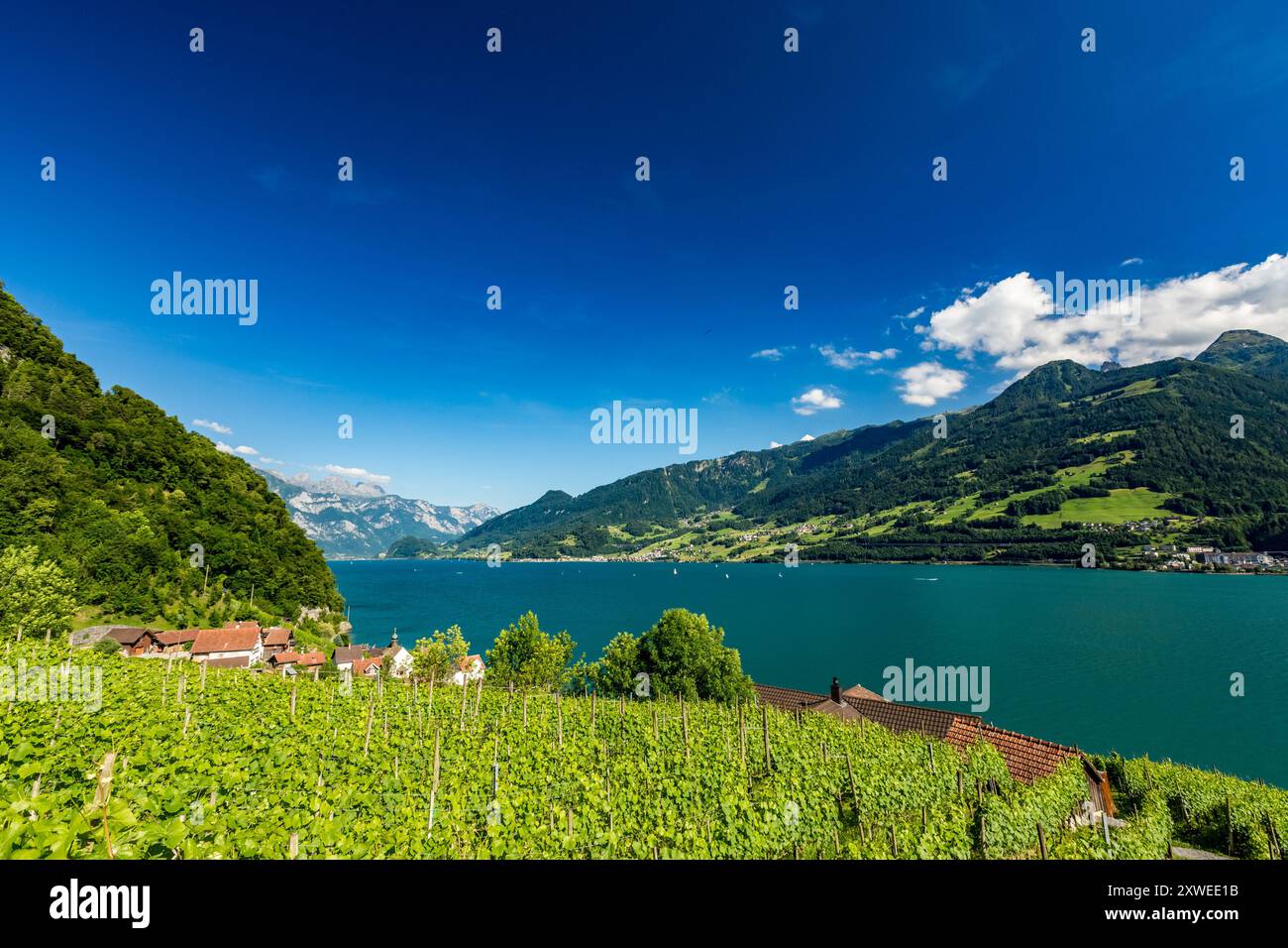 Vista panoramica intorno al borgo di Quinten, situato sulla sponda nord di Walensee, in Svizzera, accessibile con escursioni a piedi o in barca Foto Stock