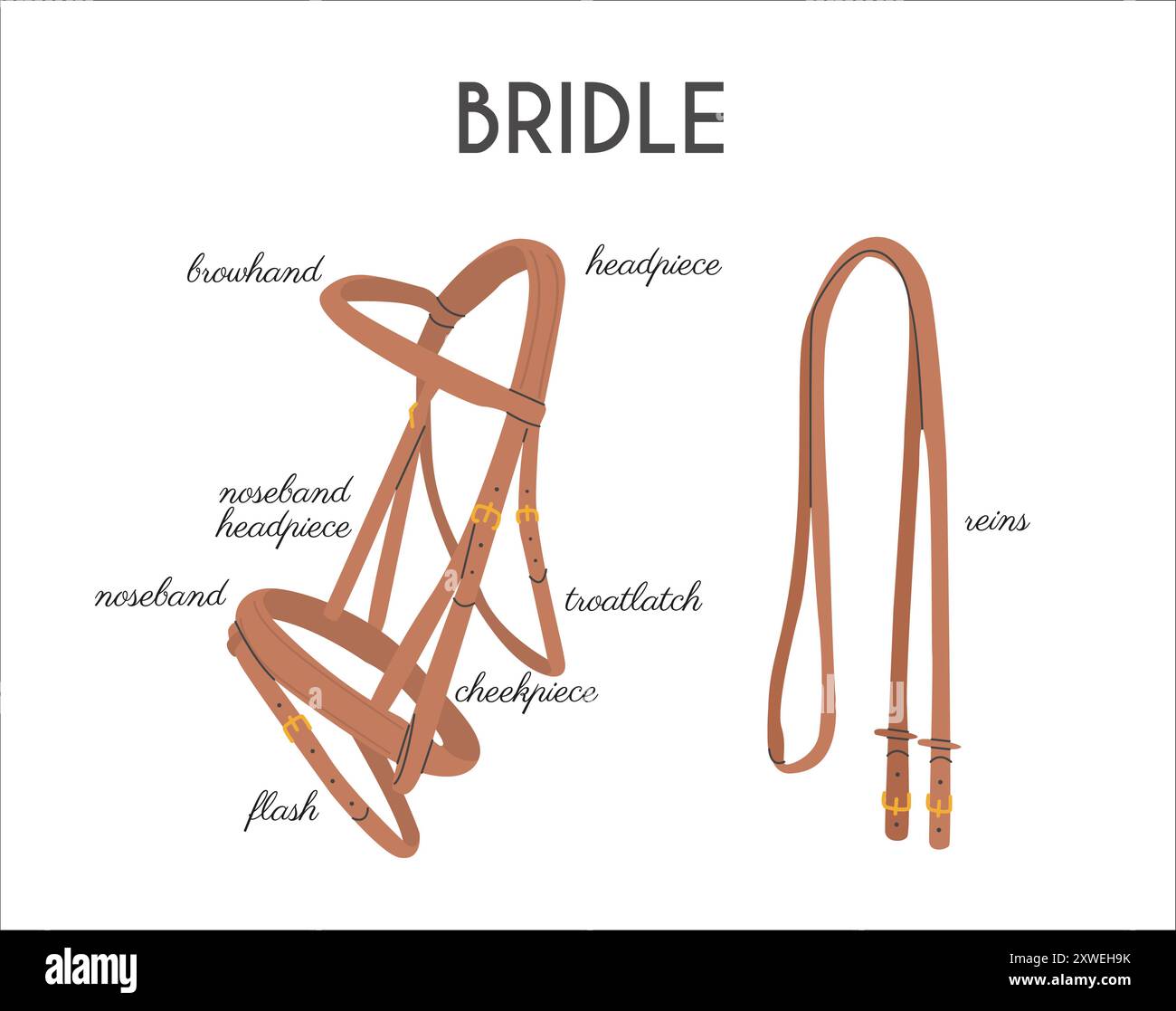 Parti occidentali e inglesi Bridle. Banner infografico con nomi dettagliati. Tattica equestre. Poster informativo sugli sport equini. Illustrazione vettoriale col Illustrazione Vettoriale