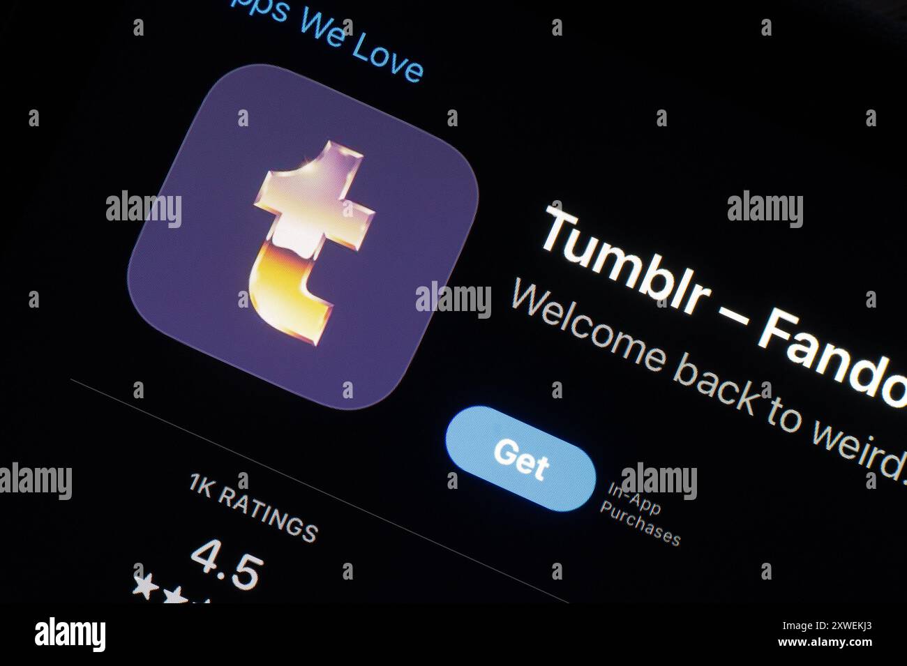 OSTRAVA, CECHIA - 27 LUGLIO 2024: App store con Tumblr social media Photo e applicazione di condivisione di blog Foto Stock