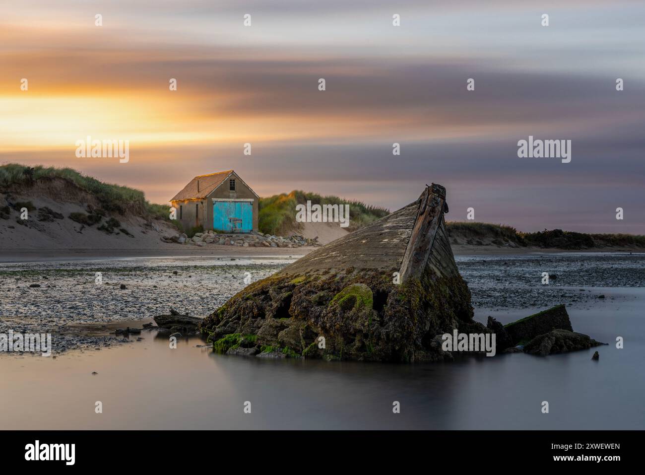 Newburgh Beach, situata a nord di Aberdeen, offre opportunità di avvistamento della fauna selvatica, tra cui foche, balene, delfini e varie specie di uccelli, con una Foto Stock