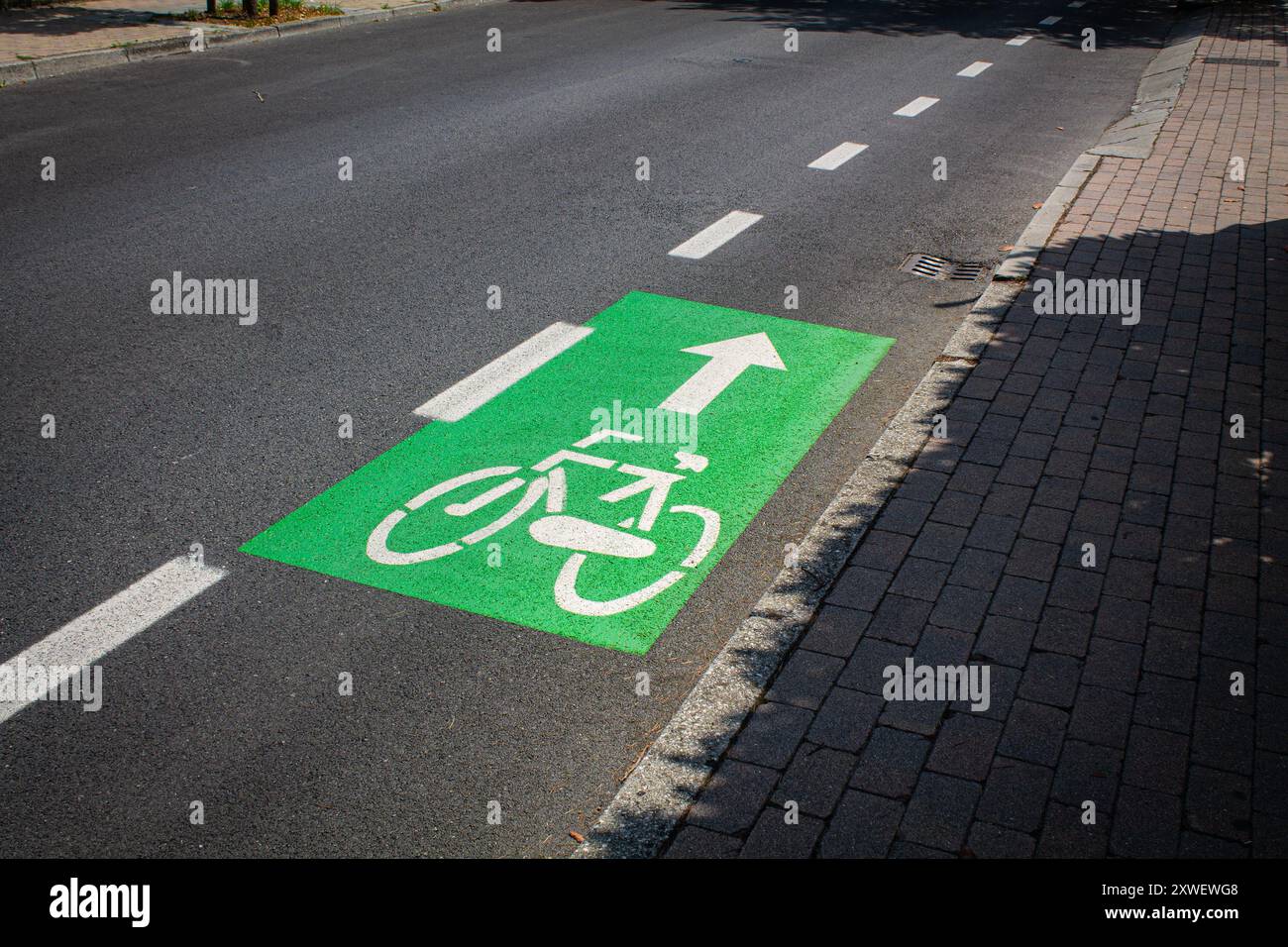 Segnaletica verde della pista ciclabile sull'asfalto Foto Stock