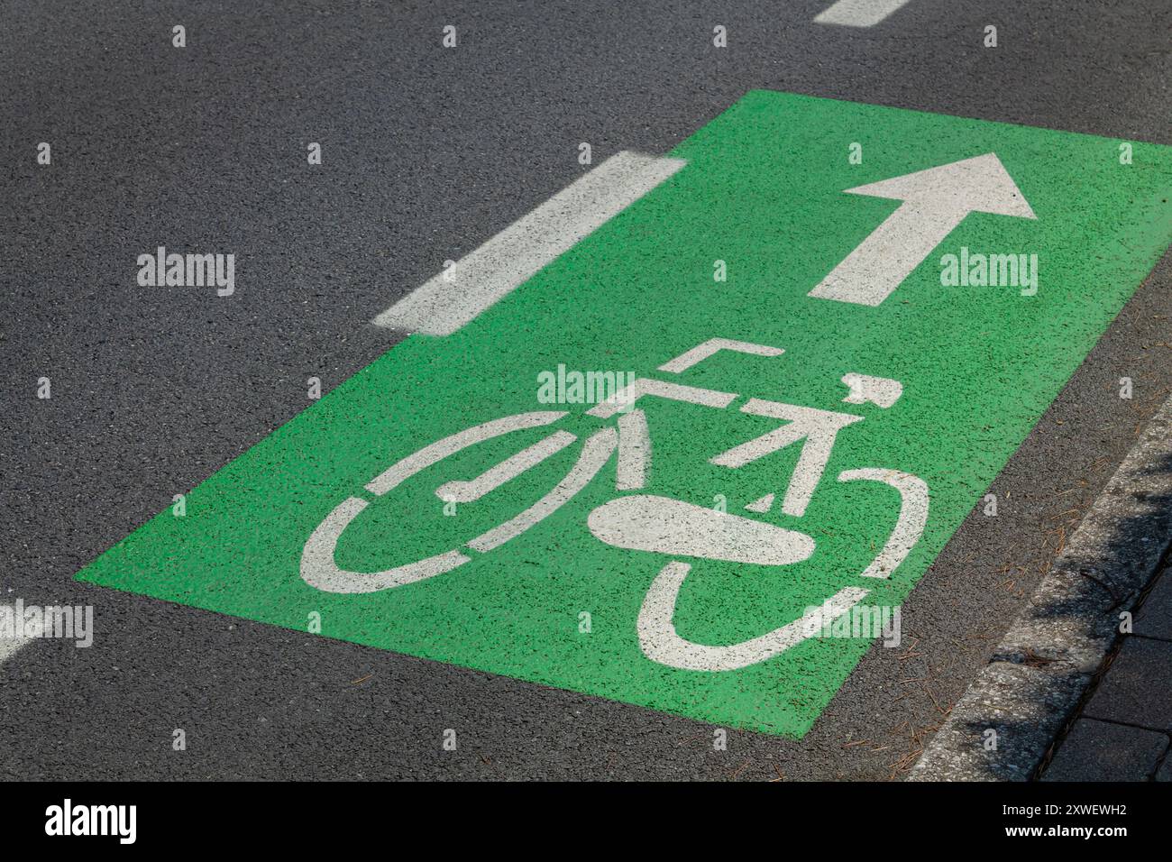 Segnaletica verde della pista ciclabile sull'asfalto Foto Stock