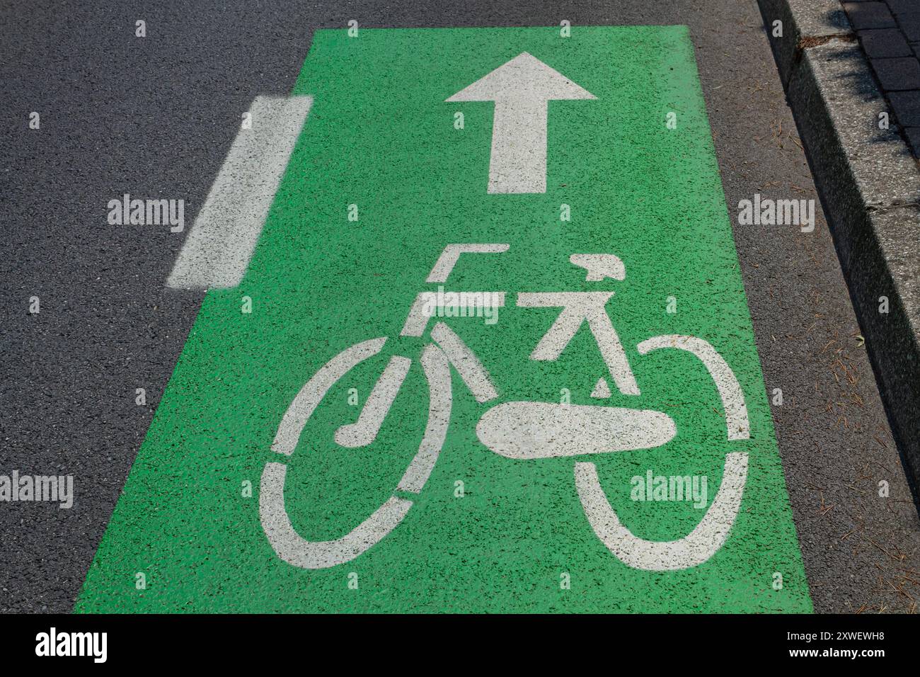 Segnaletica verde della pista ciclabile sull'asfalto Foto Stock