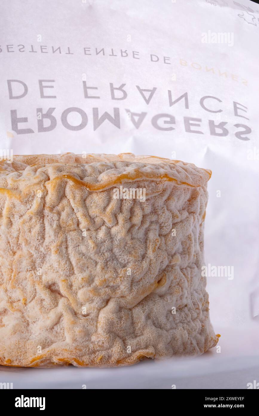 Formaggio Langres con carta da imballaggio originale sullo sfondo. Foto Stock