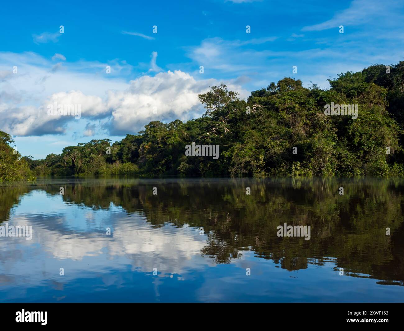 Vista della Laguna di Coati vicino al fiume Javari, tributario del fiume Rio delle Amazzoni, Amazonia. Selva sul confine del Brasile e Perù. Sud America. Foto Stock
