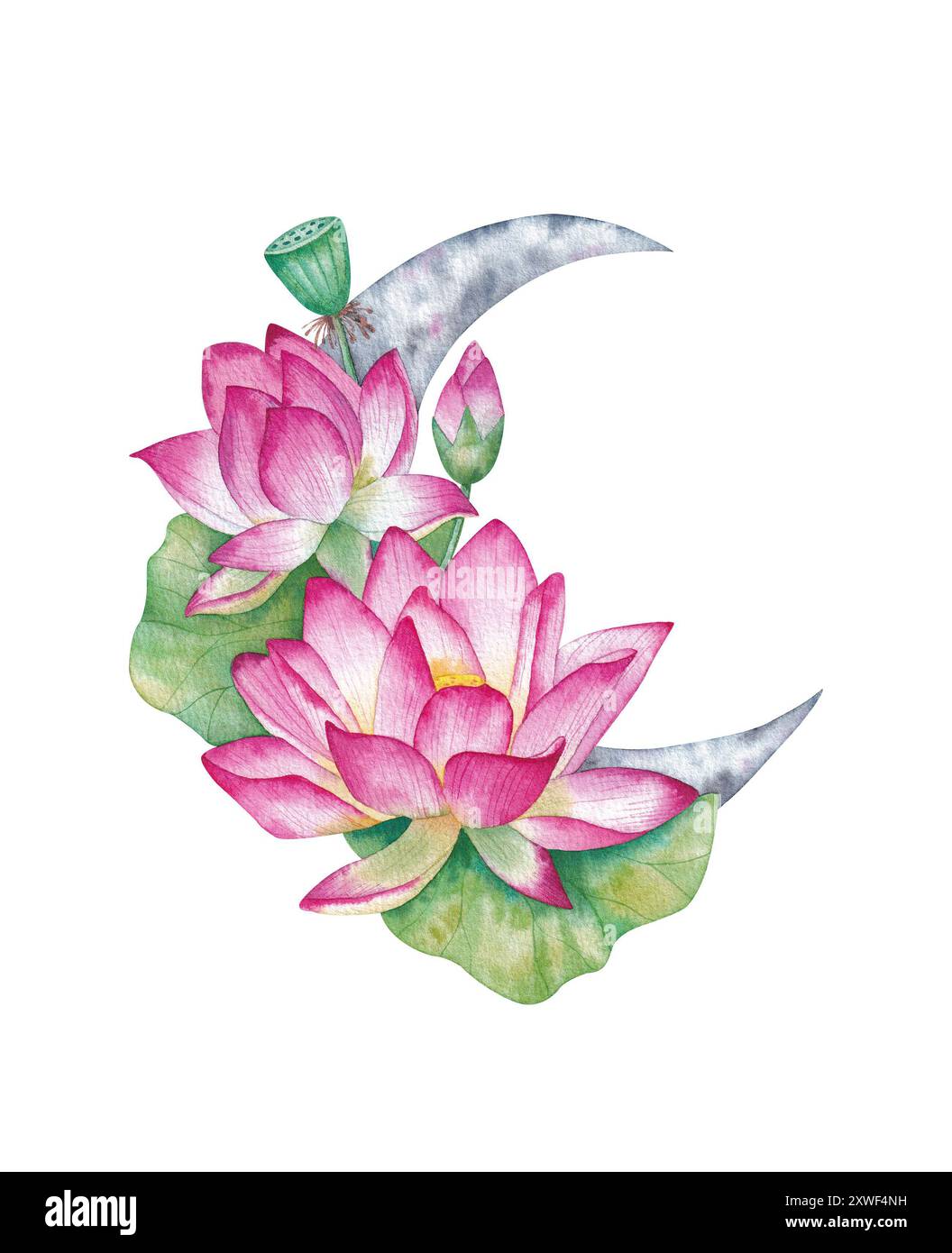 Loto rosa con foglie e luna. Mezzaluna floreale. Segni e simboli esoterici. Illustrazione ad acquerello disegnata a mano isolata su sfondo bianco. Foto Stock