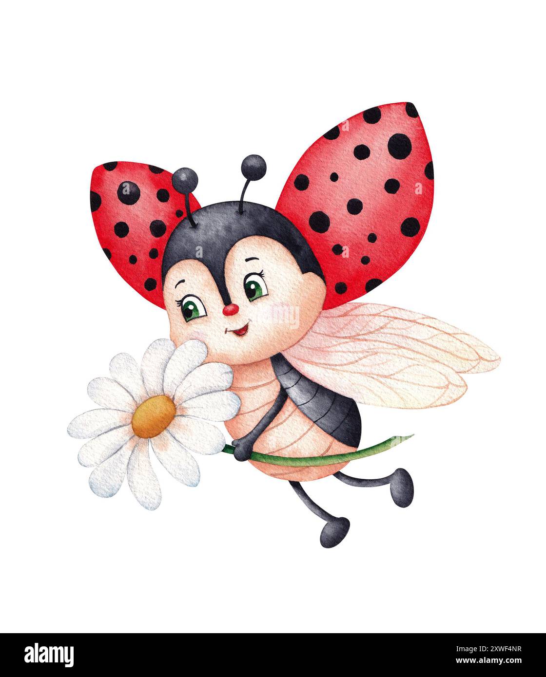 Graziosa coccinella con un fiore a margherita. Illustrazione ad acquerello disegnata a mano isolata su sfondo bianco Foto Stock