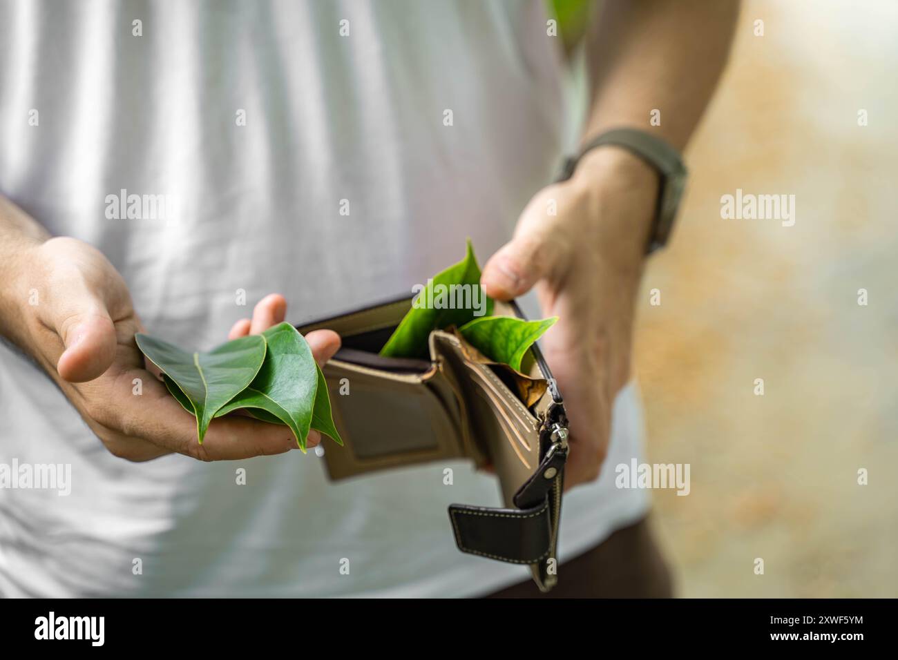 Uomo che tiene in mano un portafoglio con foglie verdi al posto del denaro, simboleggia uno stile di vita ecologico o una visione laica del rompersi. Foto Stock