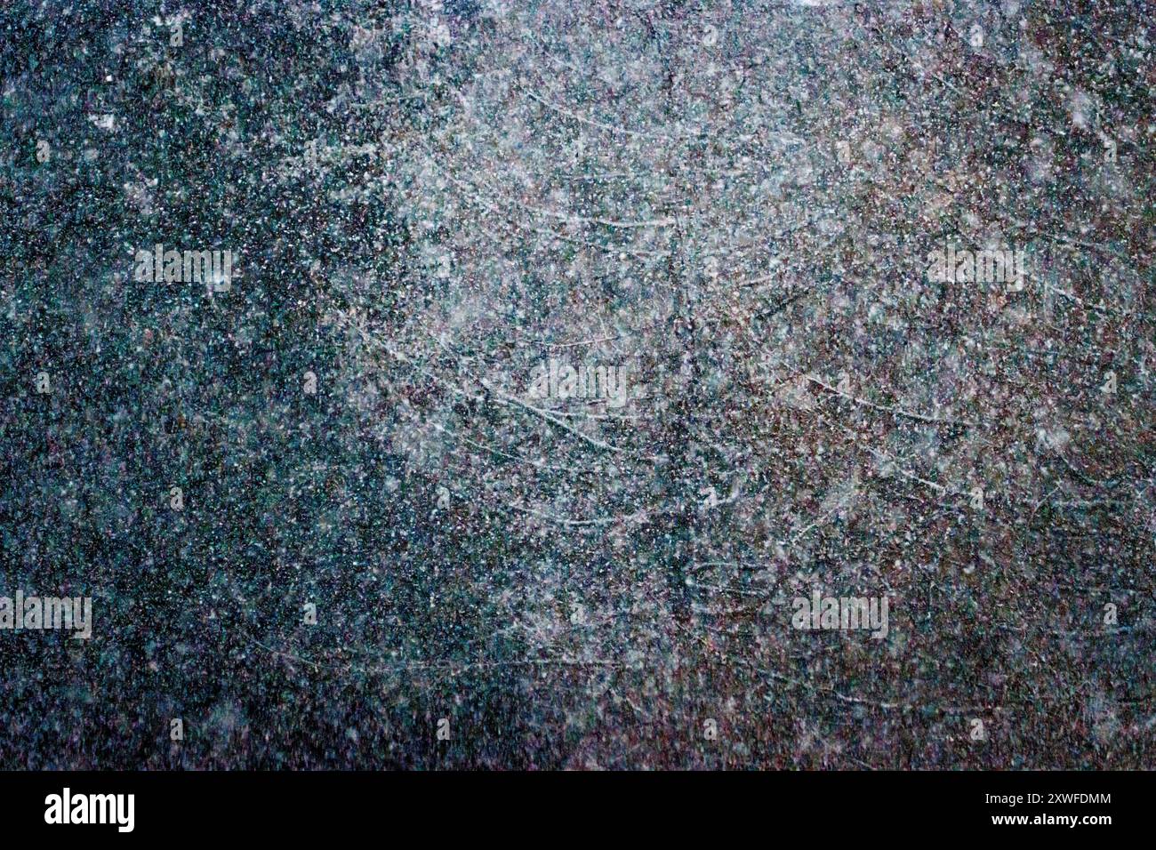 Una foresta di aghi a malapena visibile attraverso la fitta nevicata, che sfoca l'immagine l'ultimo giorno dell'anno, il 31 dicembre 2023, a Crans Montana, Vallese, Svizzera Foto Stock