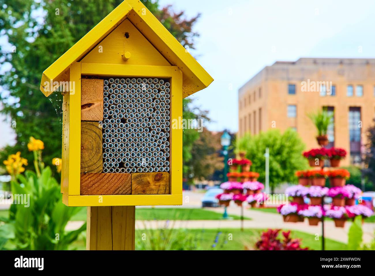 Bright Yellow Insect Hotel con vista a livello dell'occhio di Urban Park Foto Stock