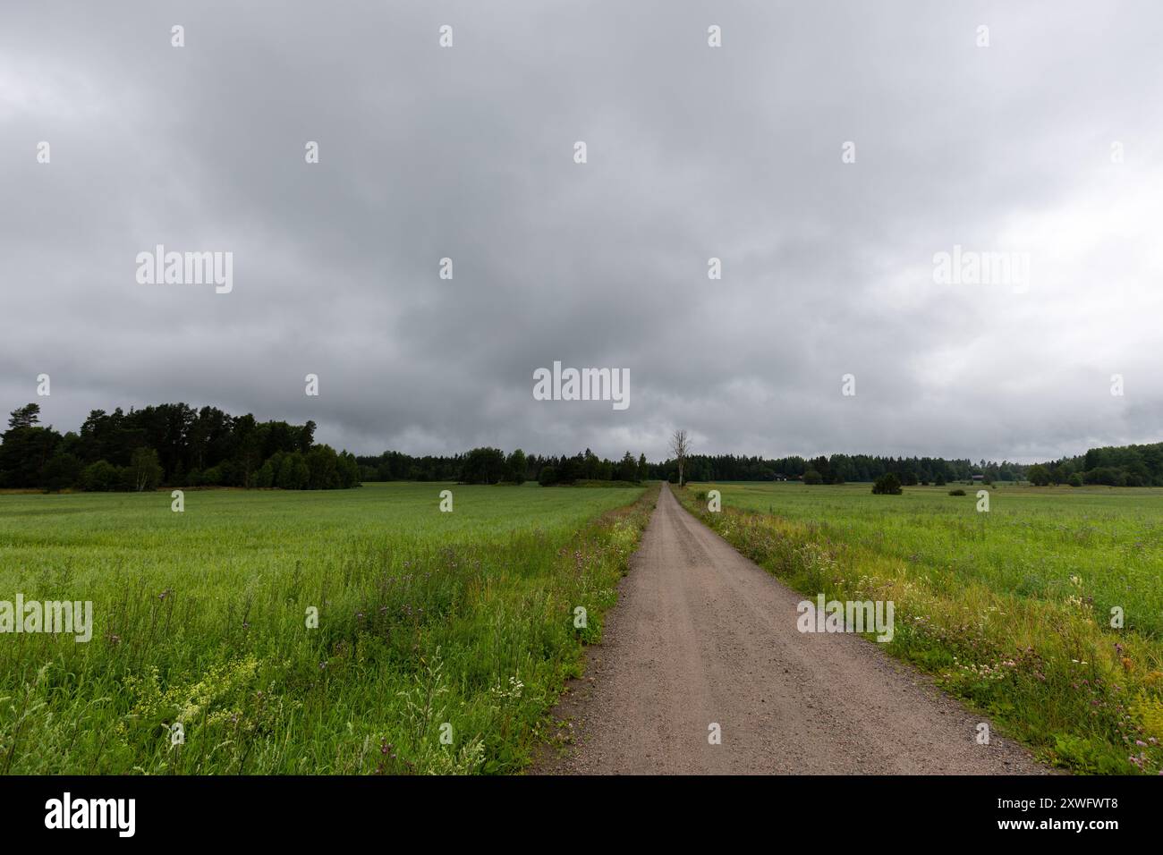 Lunga strada sterrata dritta che si estende in lontananza nelle campagne della Svezia, in Europa Foto Stock