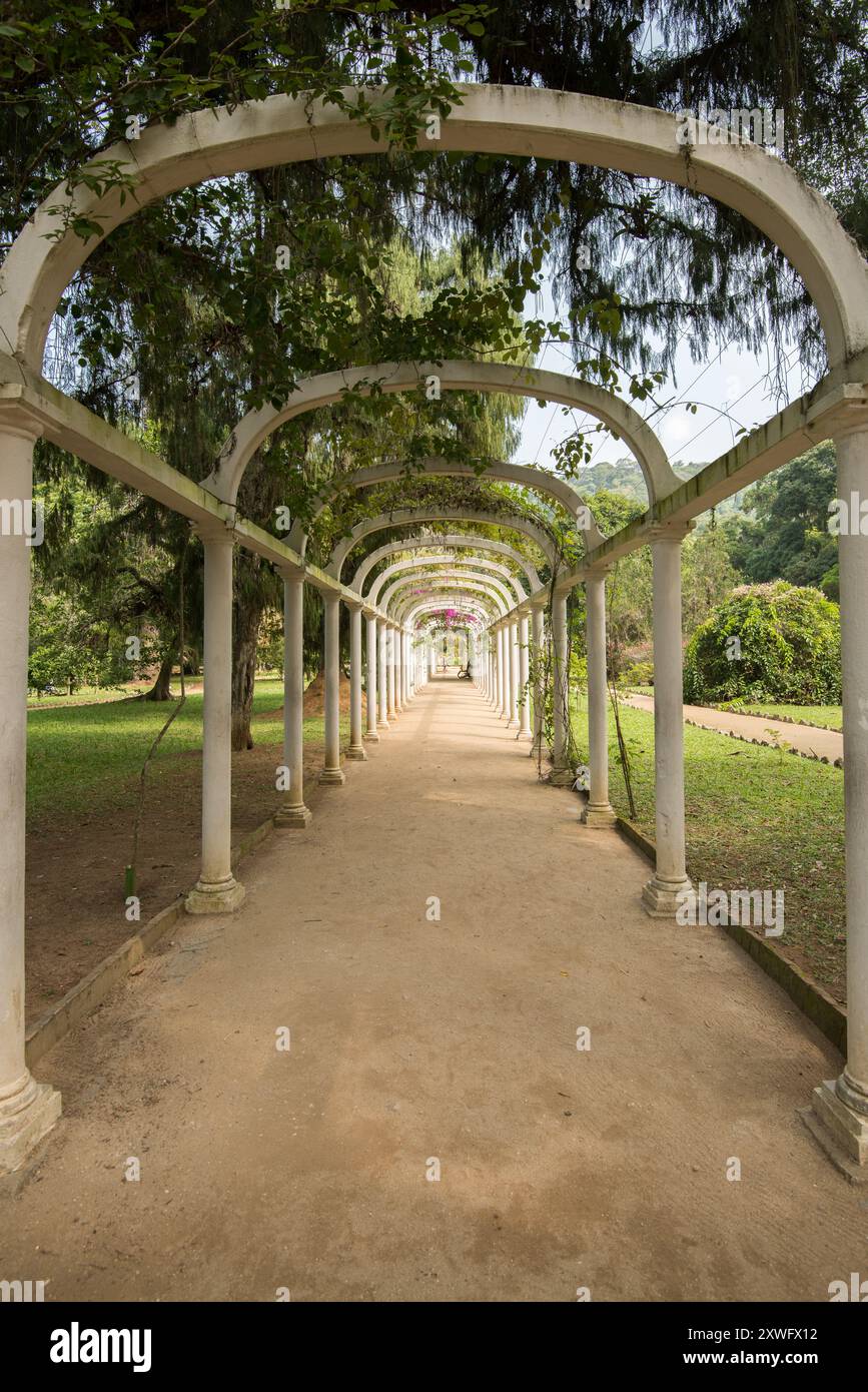 Giardino Botanico di Rio de Janeiro, Brasile Foto Stock