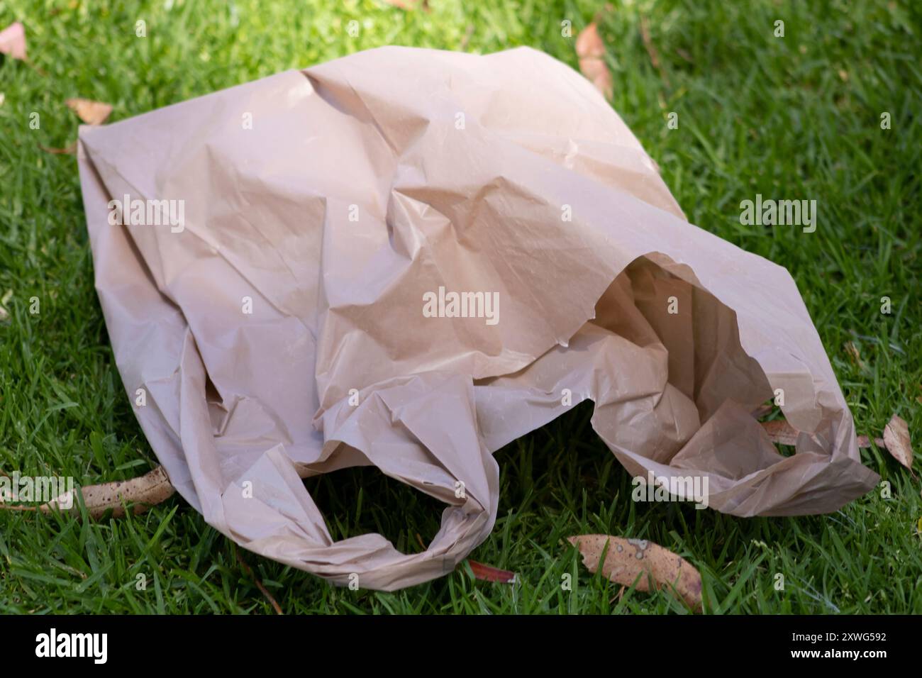 rifiuti di sacchetti di plastica marroni lasciati su prato erboso Foto Stock