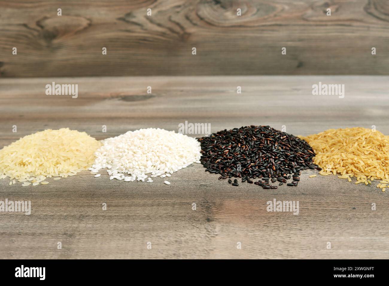 Riso comune (Oryza sativa), diversi tipi di riso Foto Stock
