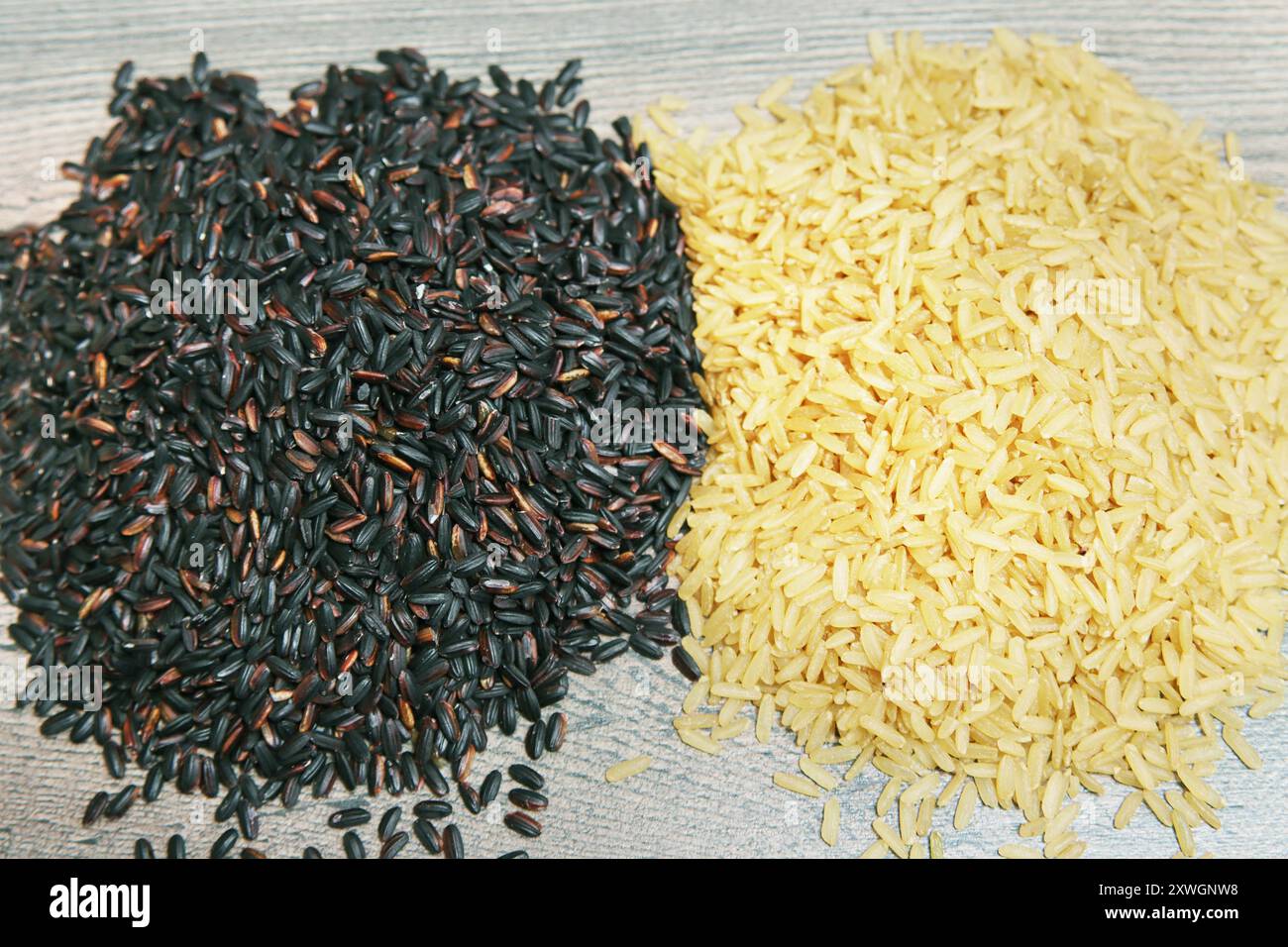 Riso comune (Oryza sativa), diversi tipi di riso Foto Stock