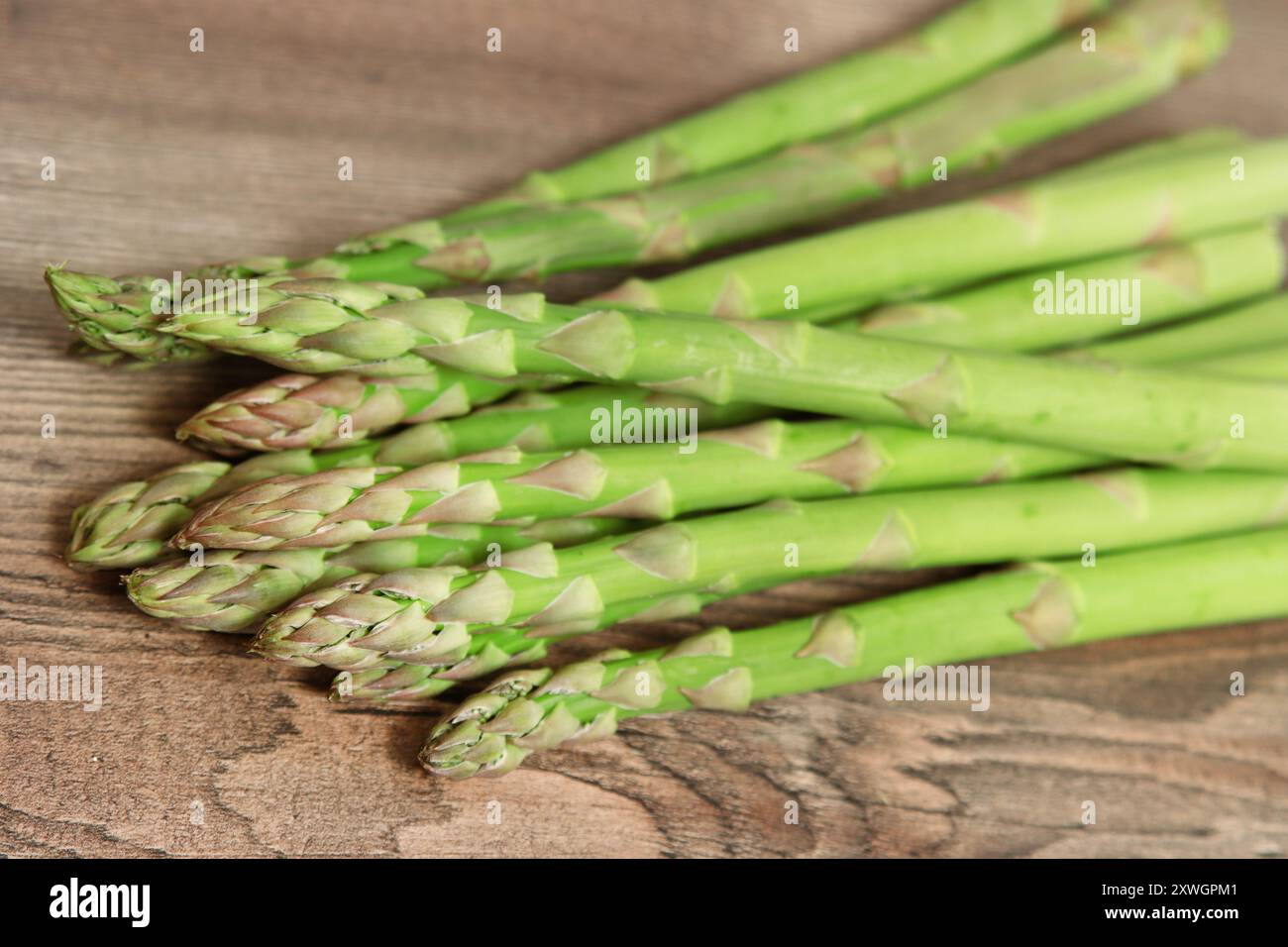 Asparagi da giardino, gras di passero, asparagi selvatici (Asparagus officinalis), asparagi verdi appena raccolti Foto Stock