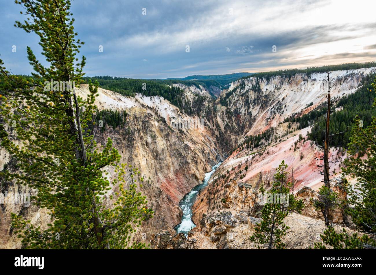 Grand Canyon del Parco Nazionale di Yellowstone, con vista delle cascate superiori e inferiori da vari luoghi, tra cui artisti e punti d'ispirazione Foto Stock