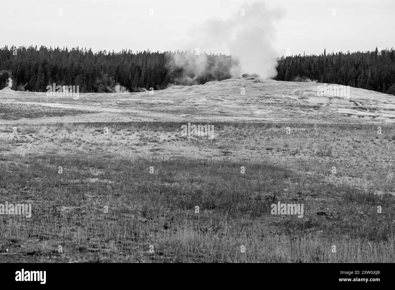 The Old Faithful Geyser in bianco e nero Foto Stock