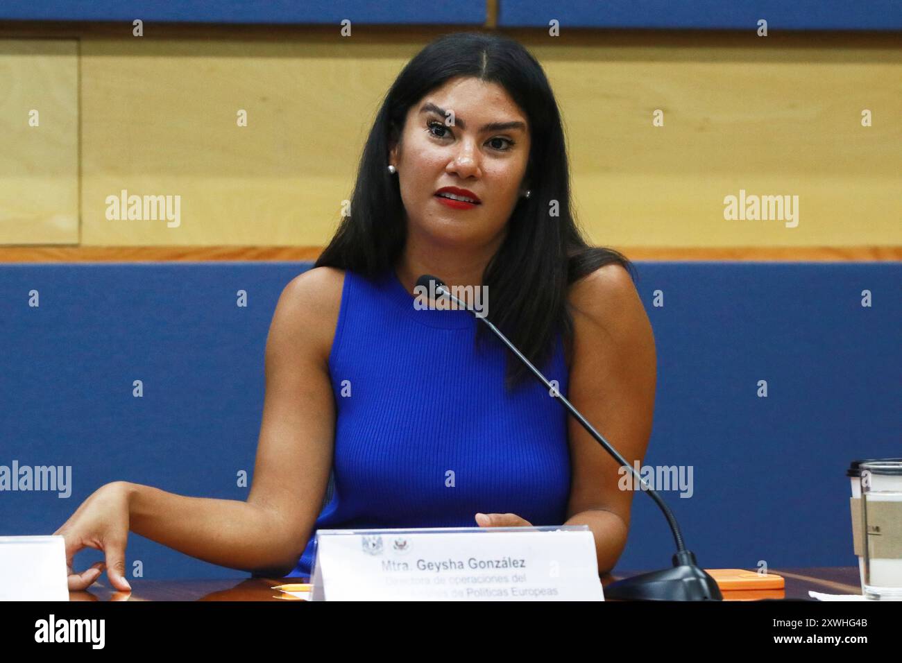 Messico, Messico. 19 agosto 2024. Geysha Gonzalez, direttore operativo del Centro per l'analisi delle politiche europee (CEPA), parla durante una conferenza stampa la disinformazione richiede alfabetizzazione mediatica presso la Torre del Rettore dell'UNAM. Credito: SOPA Images Limited/Alamy Live News Foto Stock