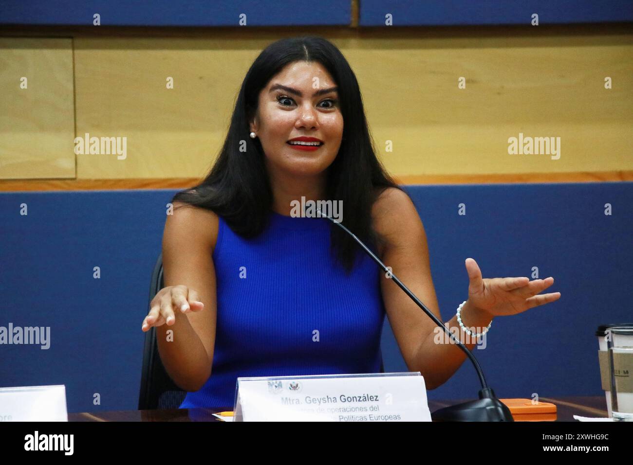 Messico, Messico. 19 agosto 2024. Geysha Gonzalez, direttore operativo del Centro per l'analisi delle politiche europee (CEPA), parla durante una conferenza stampa la disinformazione richiede alfabetizzazione mediatica presso la Torre del Rettore dell'UNAM. (Foto di Luis Tovar/SOPA Images/Sipa USA) credito: SIPA USA/Alamy Live News Foto Stock