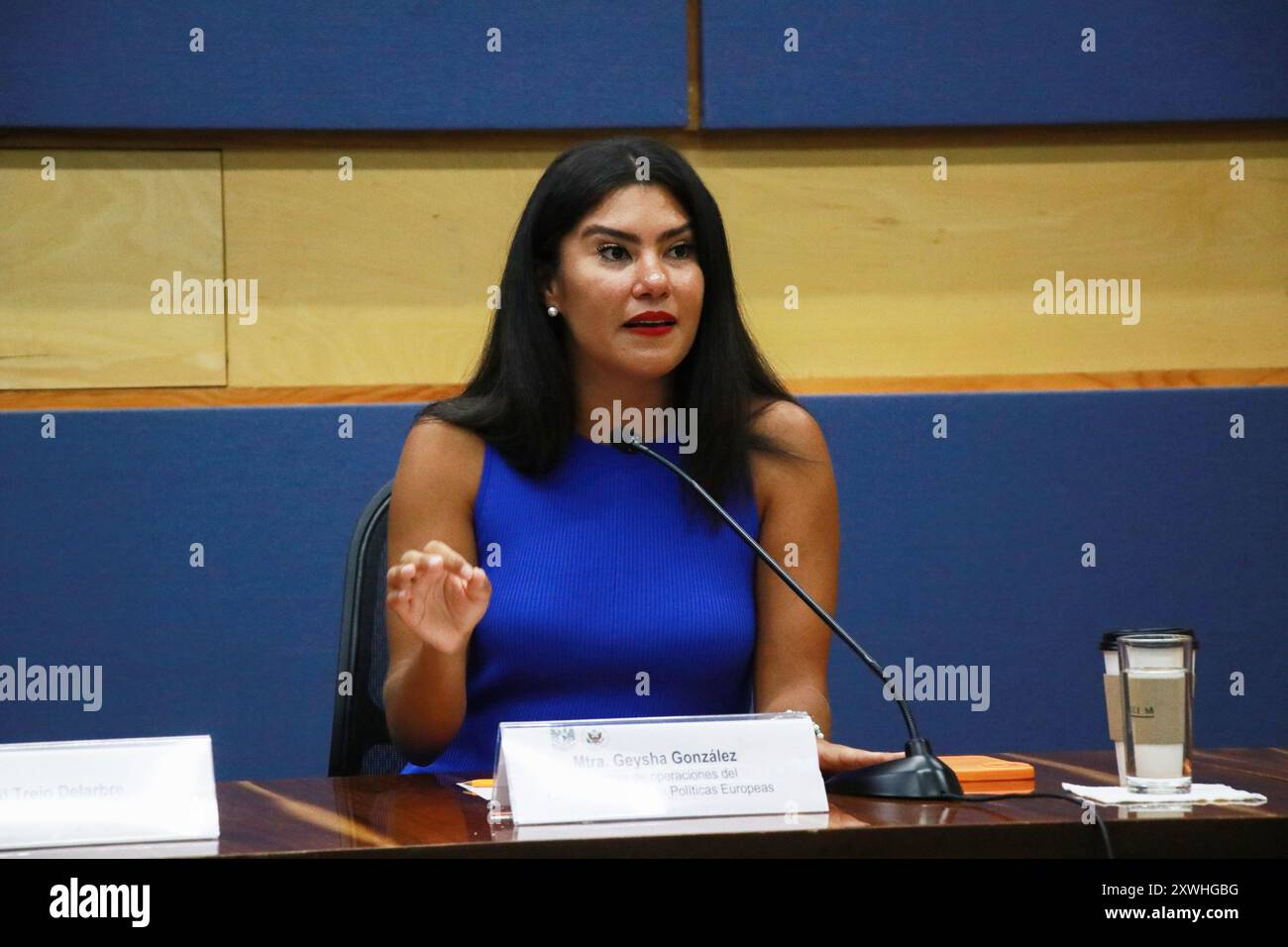Messico, Messico. 19 agosto 2024. Geysha Gonzalez, direttore operativo del Centro per l'analisi delle politiche europee (CEPA), parla durante una conferenza stampa la disinformazione richiede alfabetizzazione mediatica presso la Torre del Rettore dell'UNAM. (Foto di Luis Tovar/SOPA Images/Sipa USA) credito: SIPA USA/Alamy Live News Foto Stock