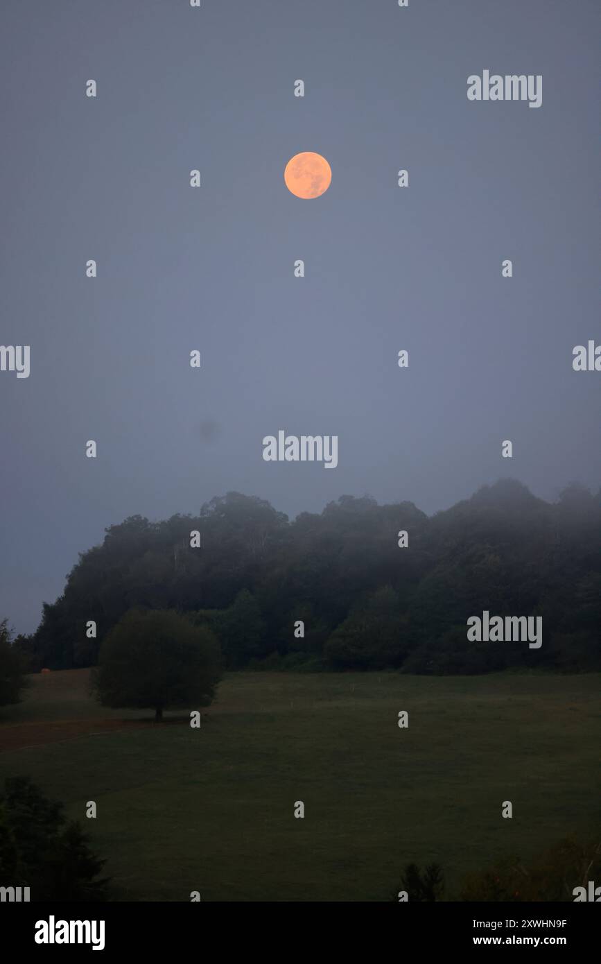 Limousin, Francia. 20 agosto 2024. Super Blue Moon (non necessariamente percepita come blu) vista dalla campagna del Limousin a tarda notte. Il termine "super Luna" fu coniato dall'astrologo Richard Nolle nel 1979 per riferirsi a una luna piena che si verifica quando la Luna è il 90% del suo più vicino avvicinamento alla Terra. Mentre la stella si trova a una distanza media di 384.400 km dalla Terra, si trova a circa 363.000 km dal nostro pianeta. La Luna appare quindi del 14% più grande e del 30% più luminosa del solito. Crediti: Foto di Hugo Martin/Alamy Live News. Foto Stock