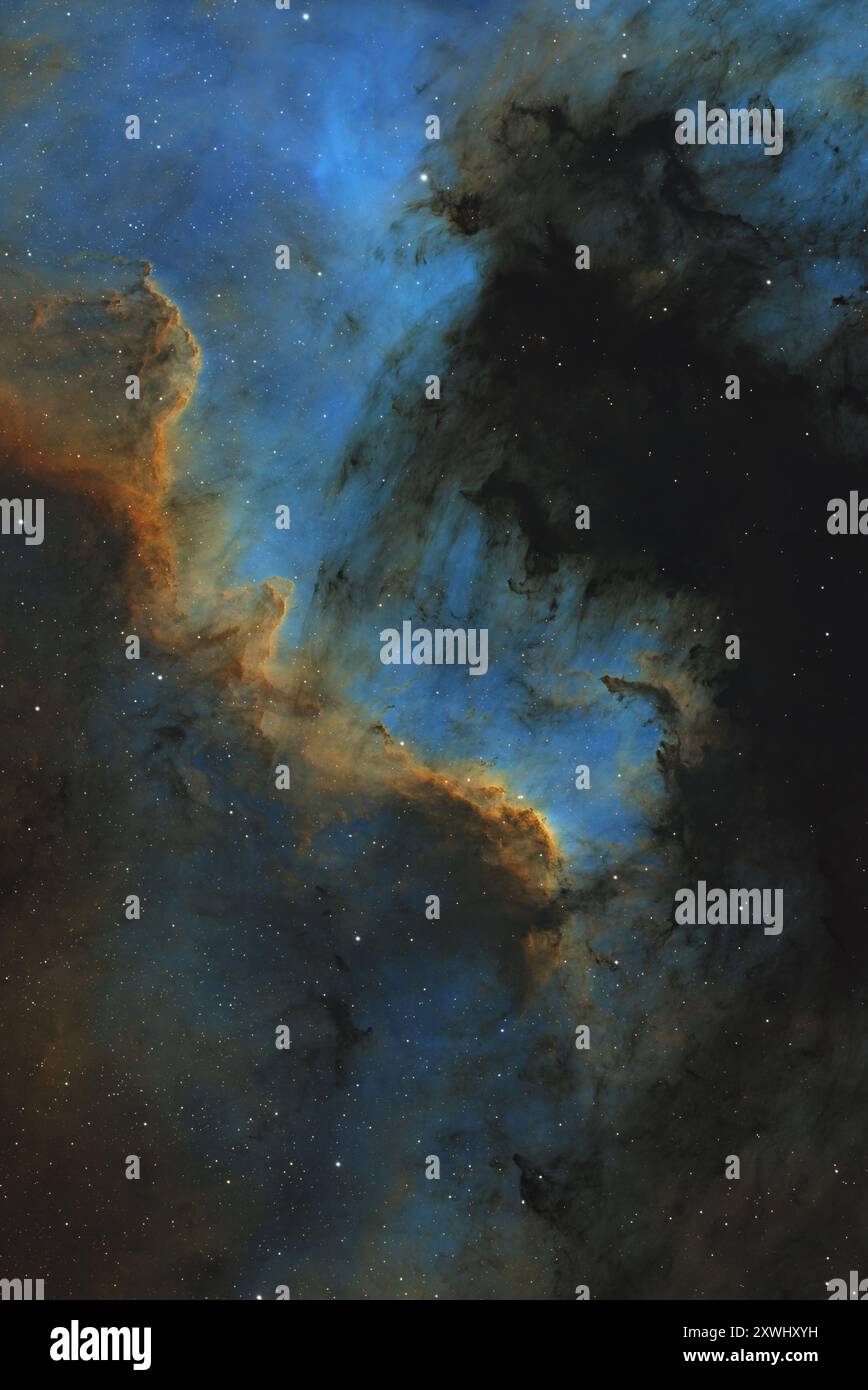 Cygnus Wall (NGC 7000) - parte della nebulosa del Nord America nella costellazione di Cygnus Foto Stock