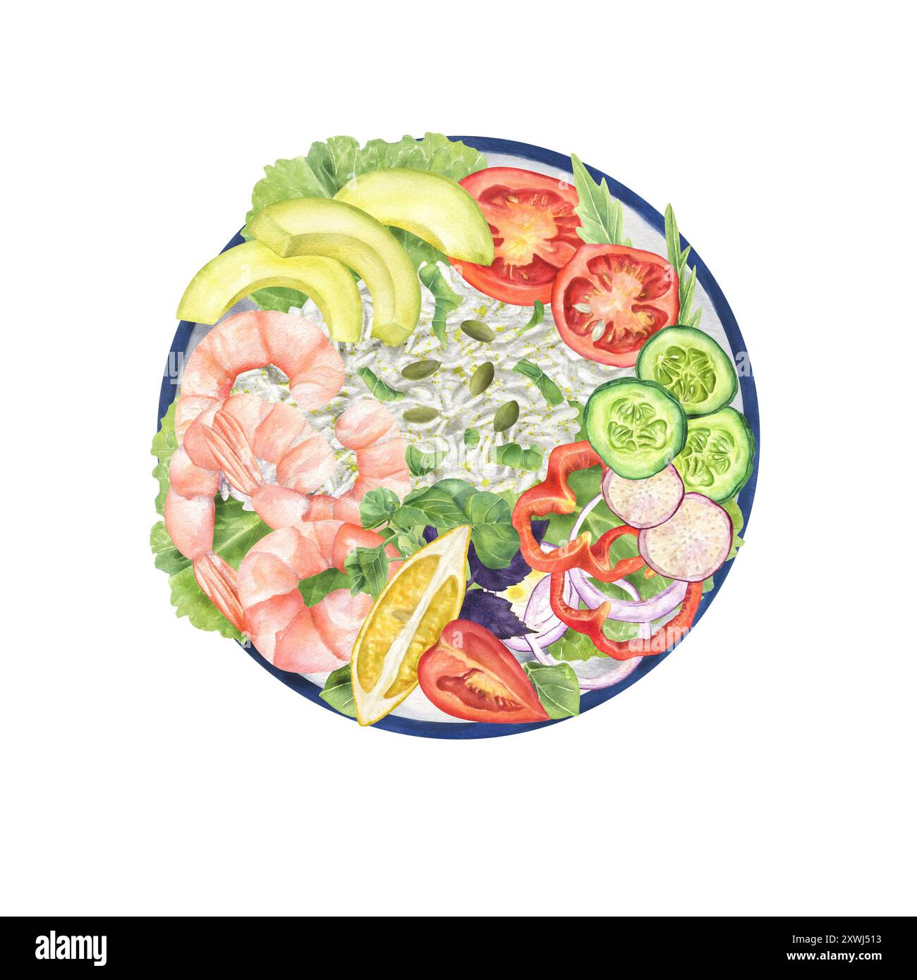 Gamberetti, riso, limone e verdure fresche su un piatto tondo con acquerello. Fette di pomodoro, cipolla, cetriolo, pepe rosso, ravanello, avocado Foto Stock