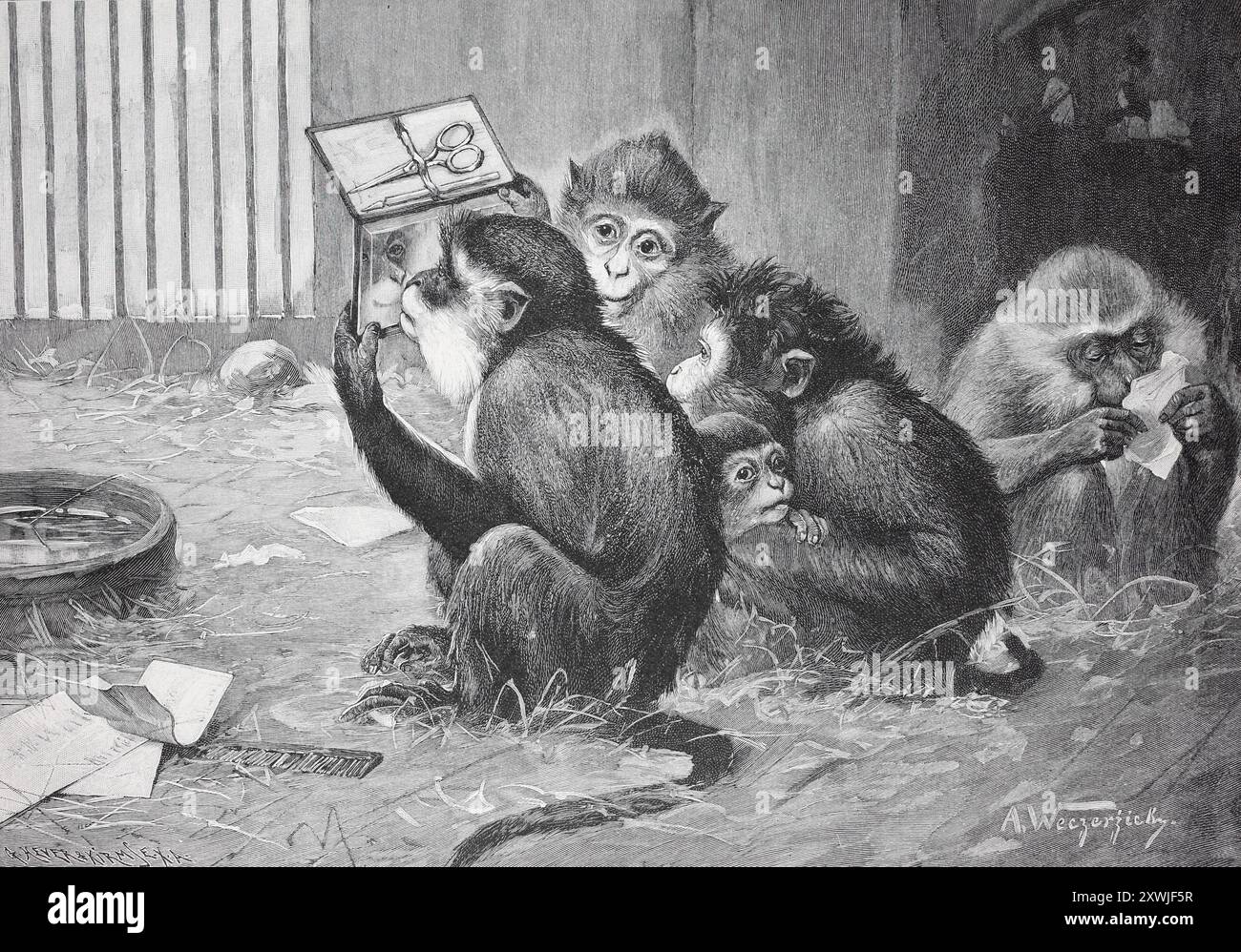 Gruppo di scimmie impegnato a leggere e guardare carta e una manicure ambientata su un pavimento di legno, scena dello zoo, riproduzione storica, restaurata digitalmente da un originale del XIX secolo, data record non dichiarata, Affengruppe beschäftigt sich mit Lesen und Betrachten von Papier und einem Manikürebesteck auf einem Holzboden, Zooszene, Historisch, digital restaurierte Reproduktion von einer Vorlage aus dem 19. Jahrhundert Foto Stock