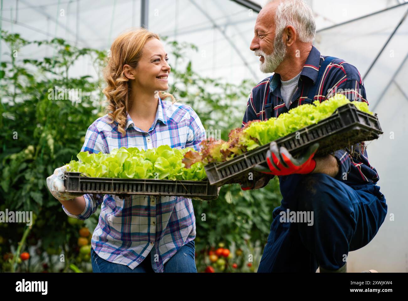 Famiglia felice di coltivatori biologici di verdure da vendere ai negozi locali. Foto Stock