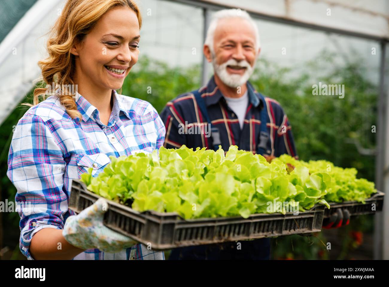 Famiglia felice di coltivatori biologici di verdure da vendere ai negozi locali. Foto Stock