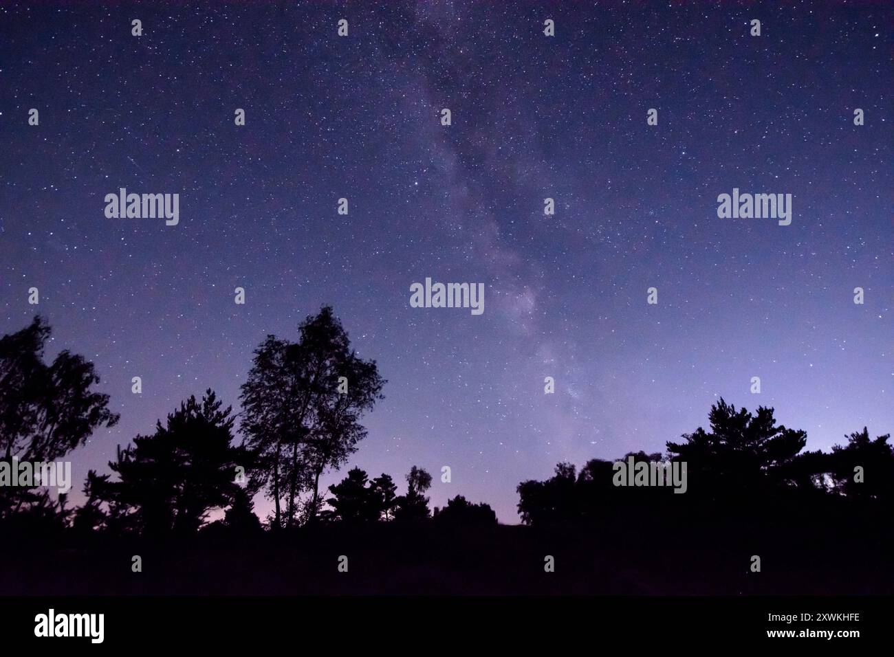 La galassia della via Lattea che si innalza sopra Iping Common nel South Downs National Park Foto Stock