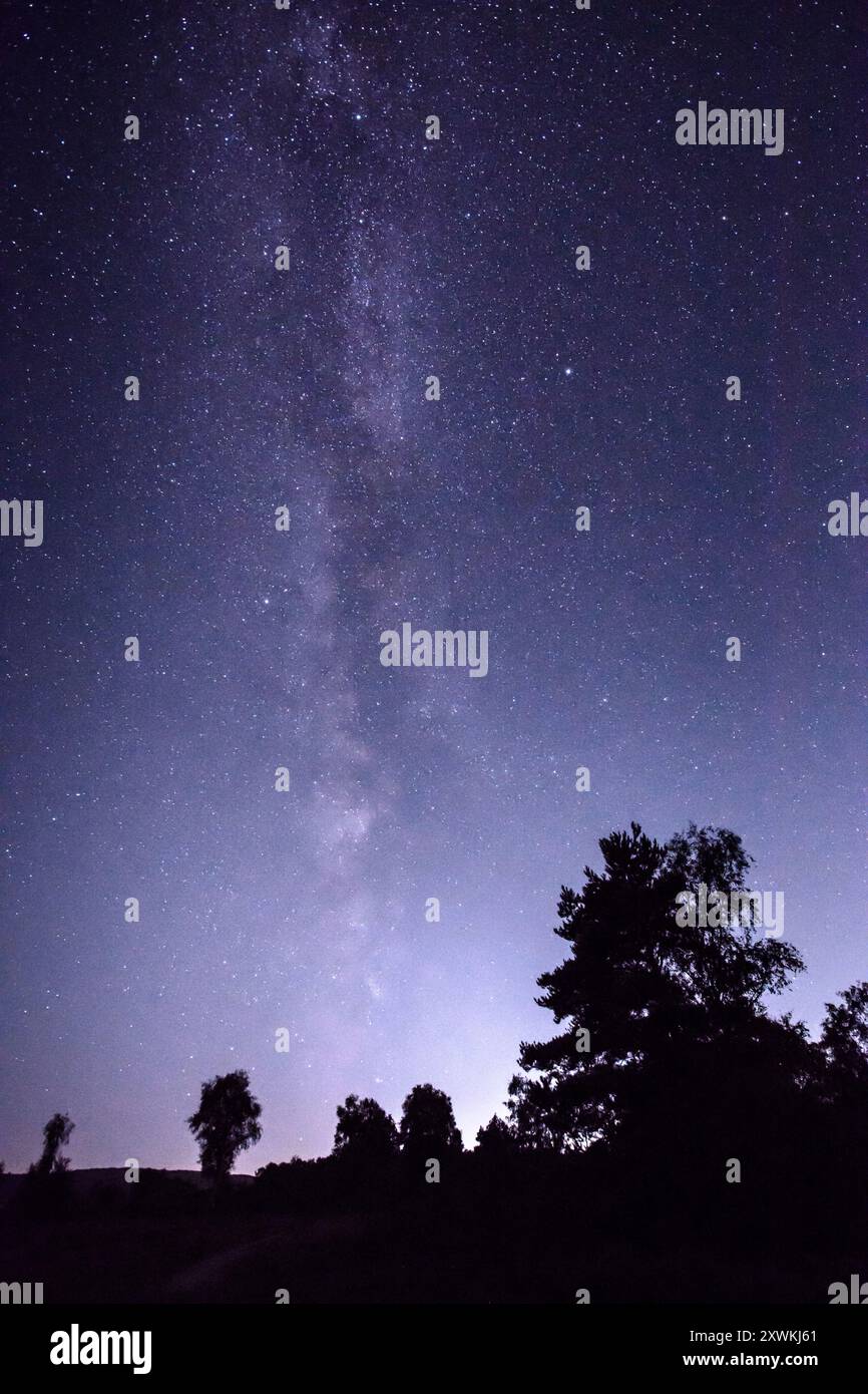 La galassia della via Lattea che si innalza sopra Iping Common nel South Downs National Park Foto Stock