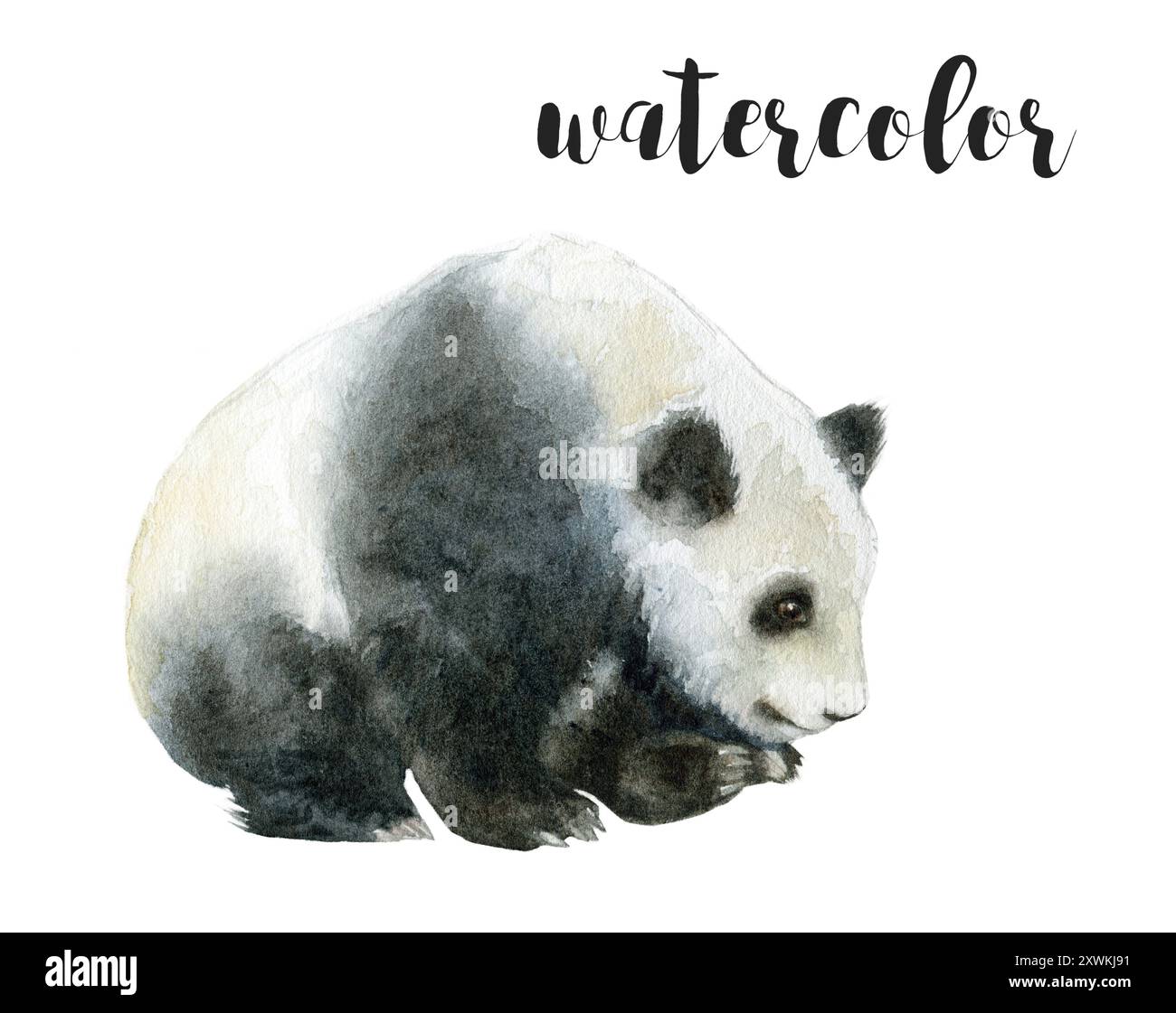Un'affascinante illustrazione di panda ad acquerello ideale per vari progetti artistici e di design Foto Stock Un'affascinante illustrazione di panda ad acquerello ideale per vari progetti artistici e di design Foto Stock