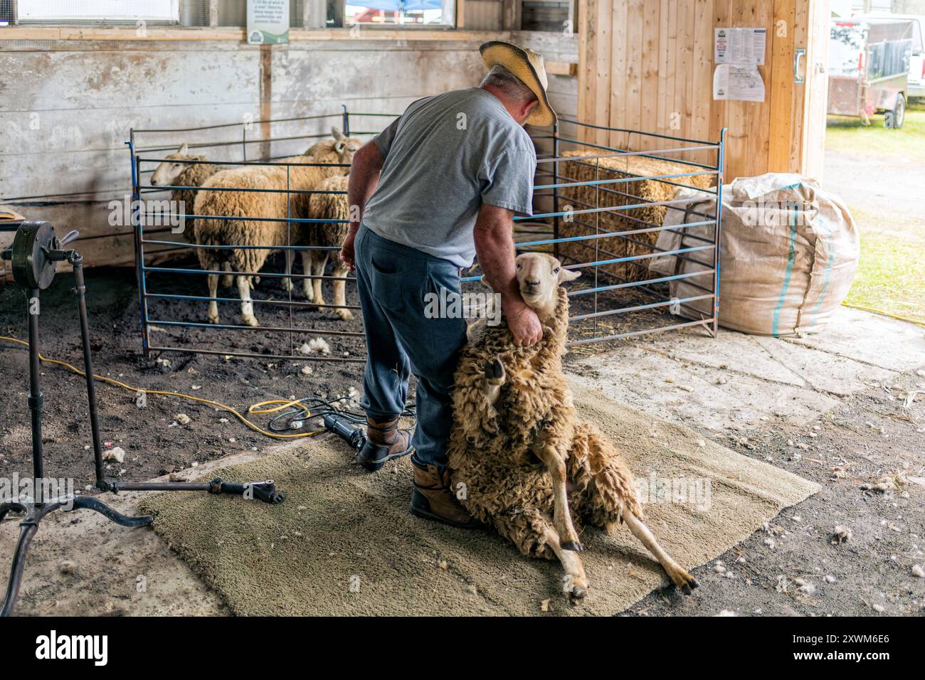 Shearer alla Vankleek Hill Fair Foto Stock