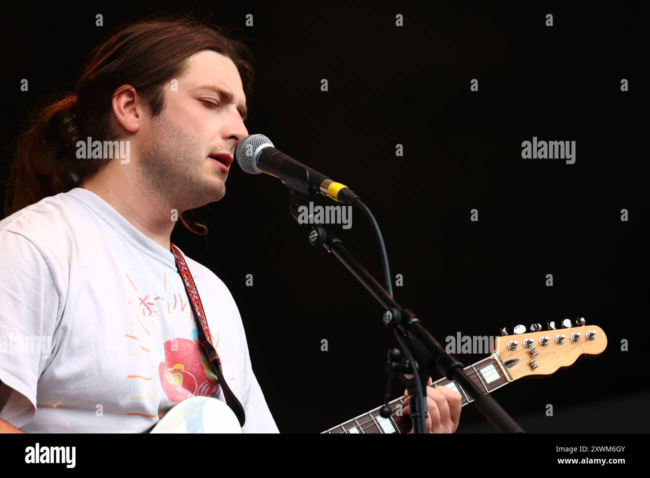 Green Man Festival, Brecon Beacons, Galles, Regno Unito. 17 agosto 2024. Tapir! Al Green Man Festival. Tapir! È una band indie folk da sei pezzi di Londra. Nella foto: Ike Gray - voce, chitarra. Credito: Nidpor/EMPICS/Alamy Live News Foto Stock