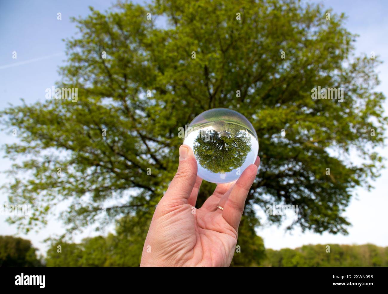 Fotokugel Glaskugel Bilder von Bäumen und Landschaften Foto Stock