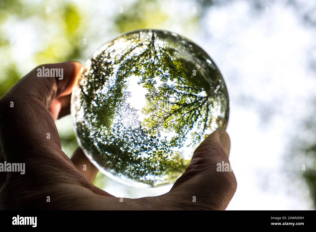 Fotokugel Glaskugel Bilder von Bäumen und Landschaften Foto Stock