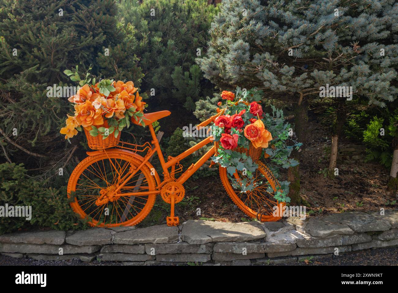 Decorazione del giardino, cavalletto floreale di una vecchia bicicletta dipinta di arancione Foto Stock