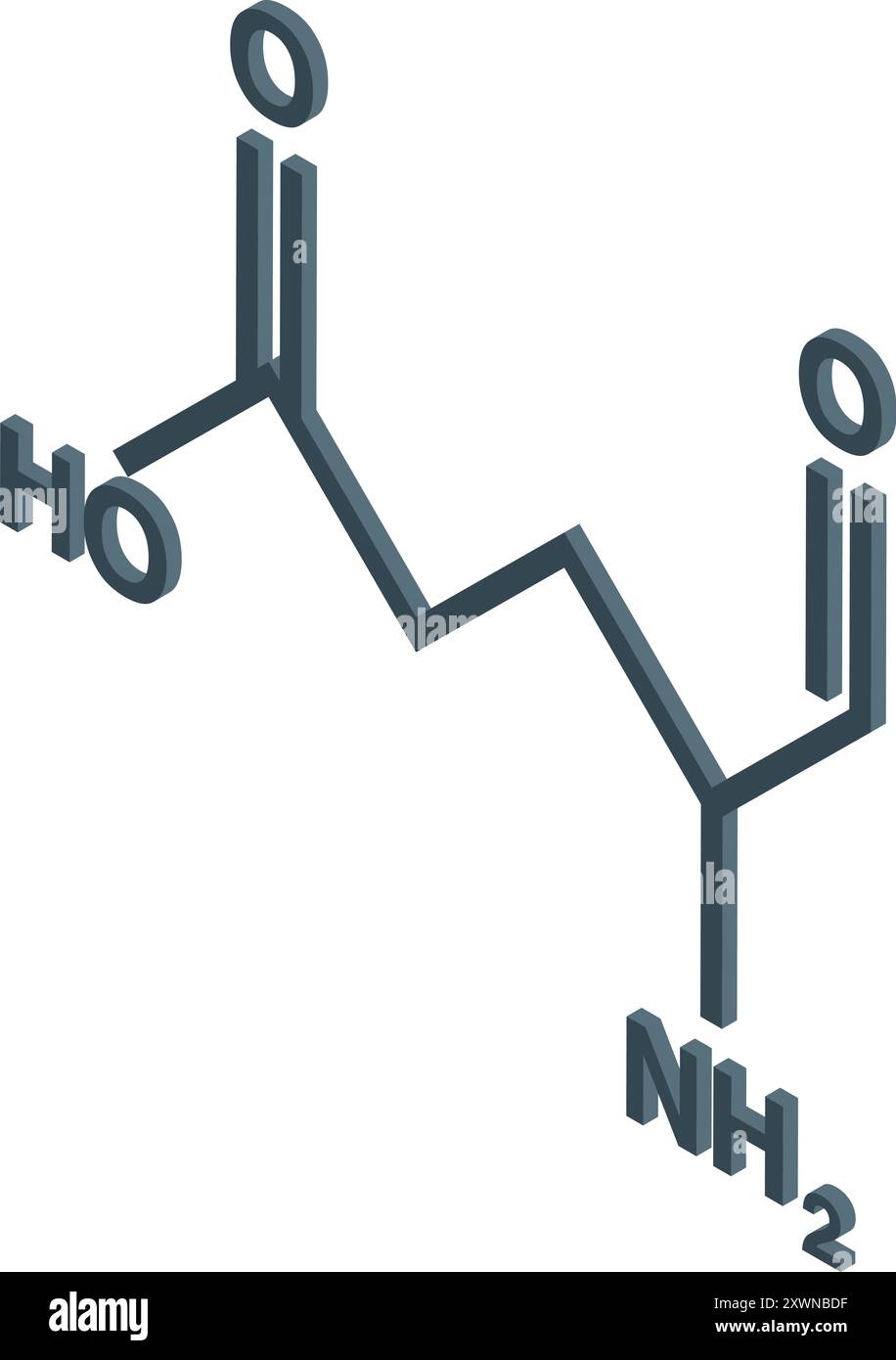Struttura isometrica della molecola di acido glutammico che mostra gli atomi e i legami Illustrazione Vettoriale